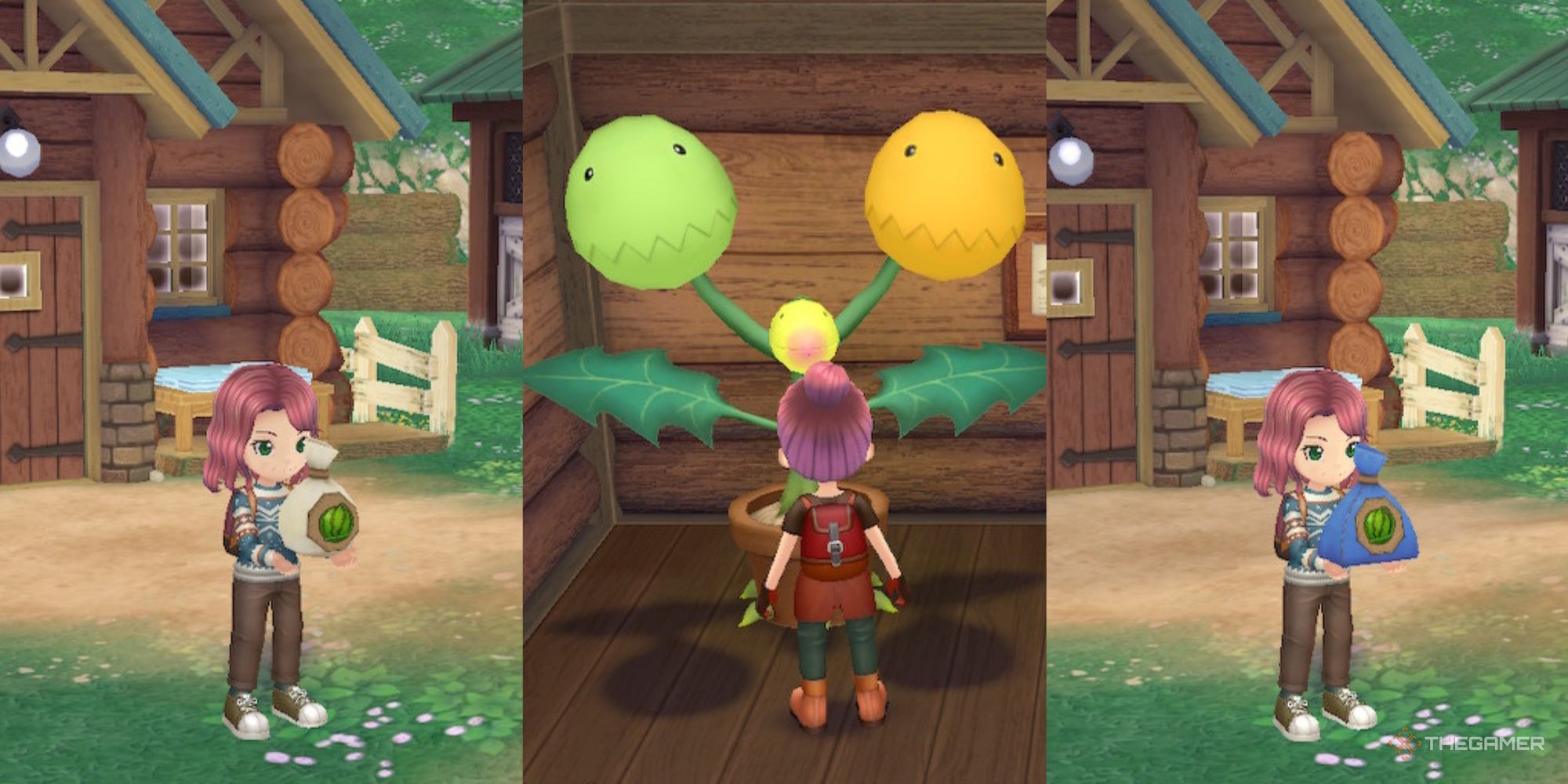 Story Of Seasons: A Wonderful Life - Crop Grades, Explained