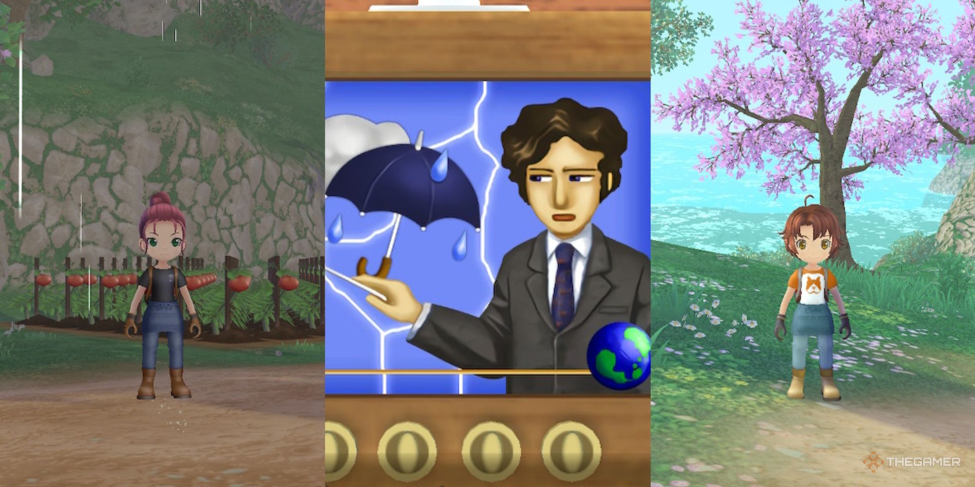 Story Of Seasons: A Wonderful Life - Weather Conditions Guide