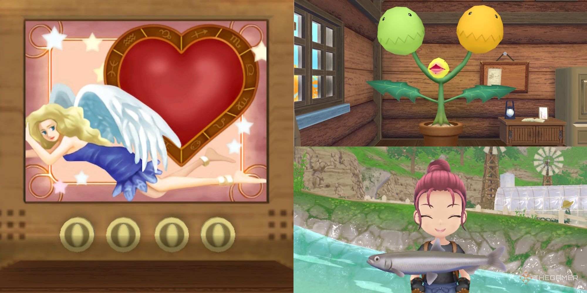 Story Of Seasons: A Wonderful Life - What Does Luck Influence?