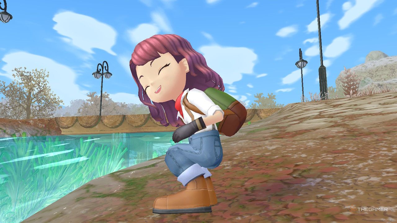 Story Of Seasons: A Wonderful Life - Beginner's Tips