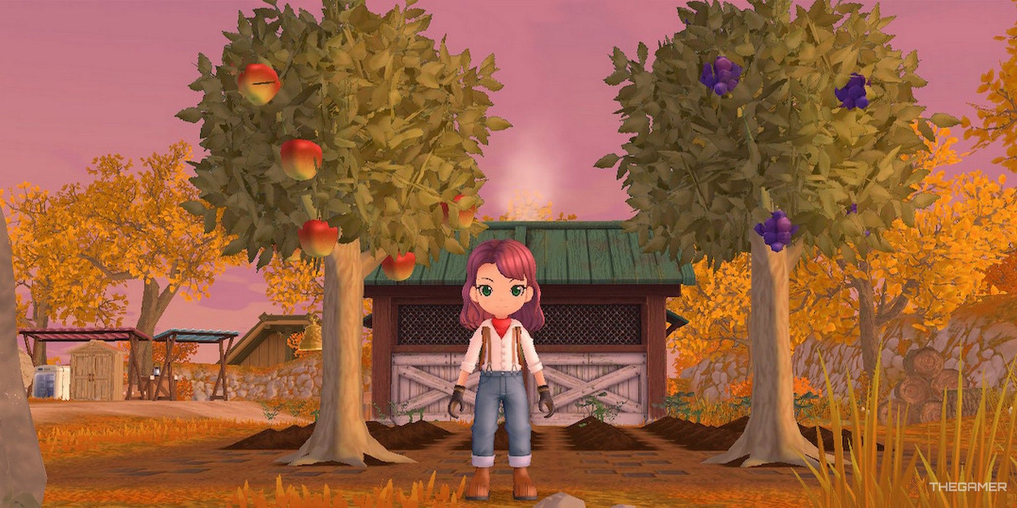 Story Of Seasons: A Wonderful Life - How To Grow Fruit Trees