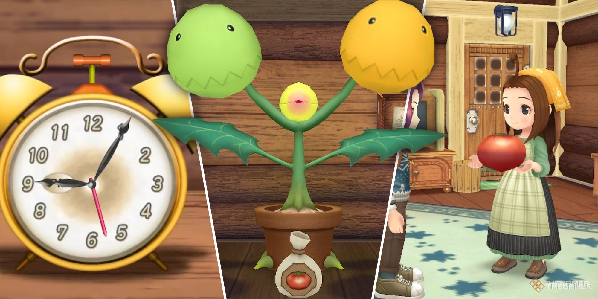 Story Of Seasons: A Wonderful Life - 10 Biggest Changes From The Original