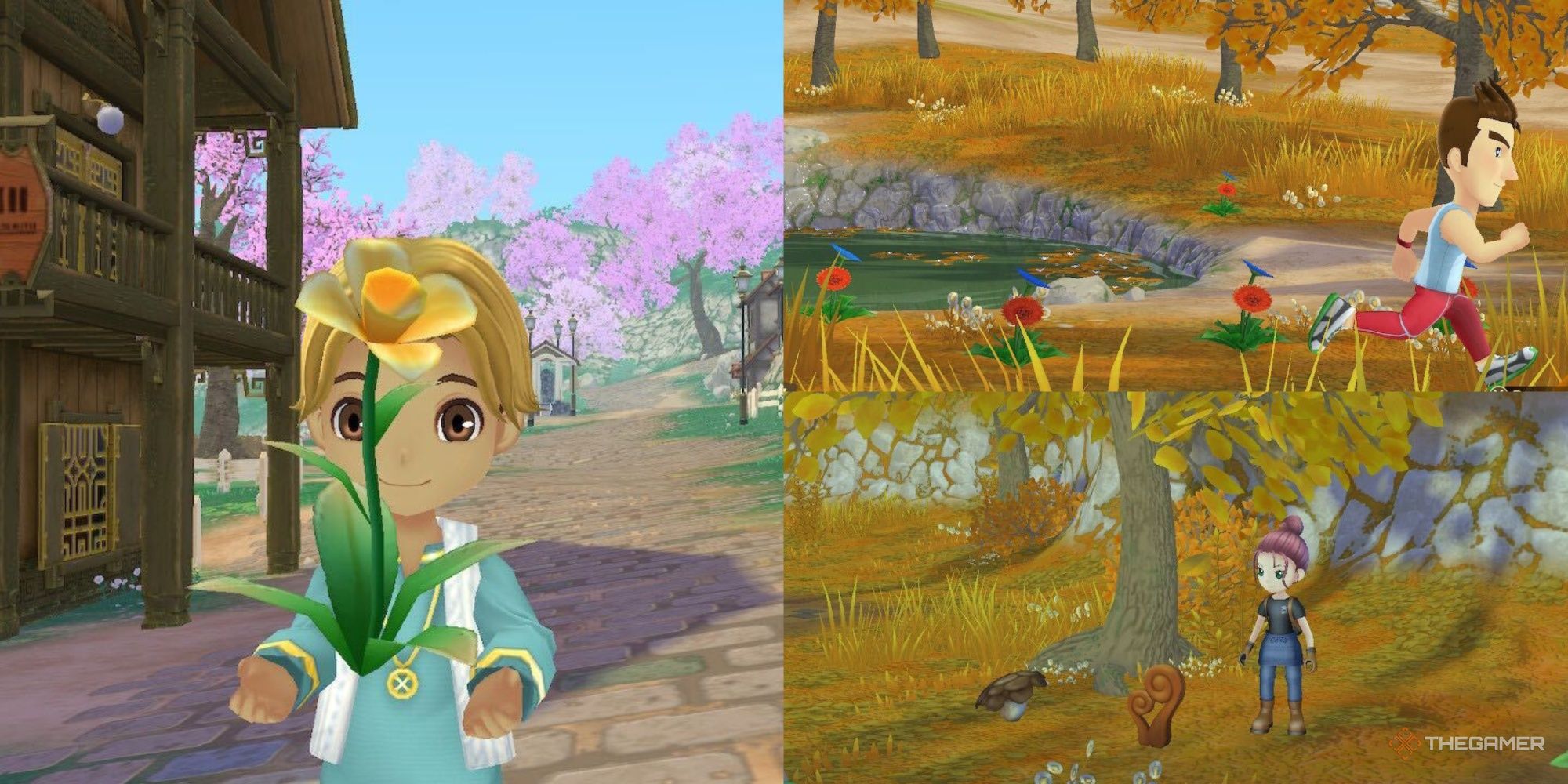 Story of Seasons: A Wonderful Life - The 8 Best Forageables