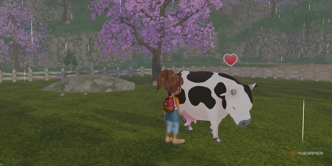 10 Things You Should Avoid Doing In Story Of Seasons: A Wonderful Life