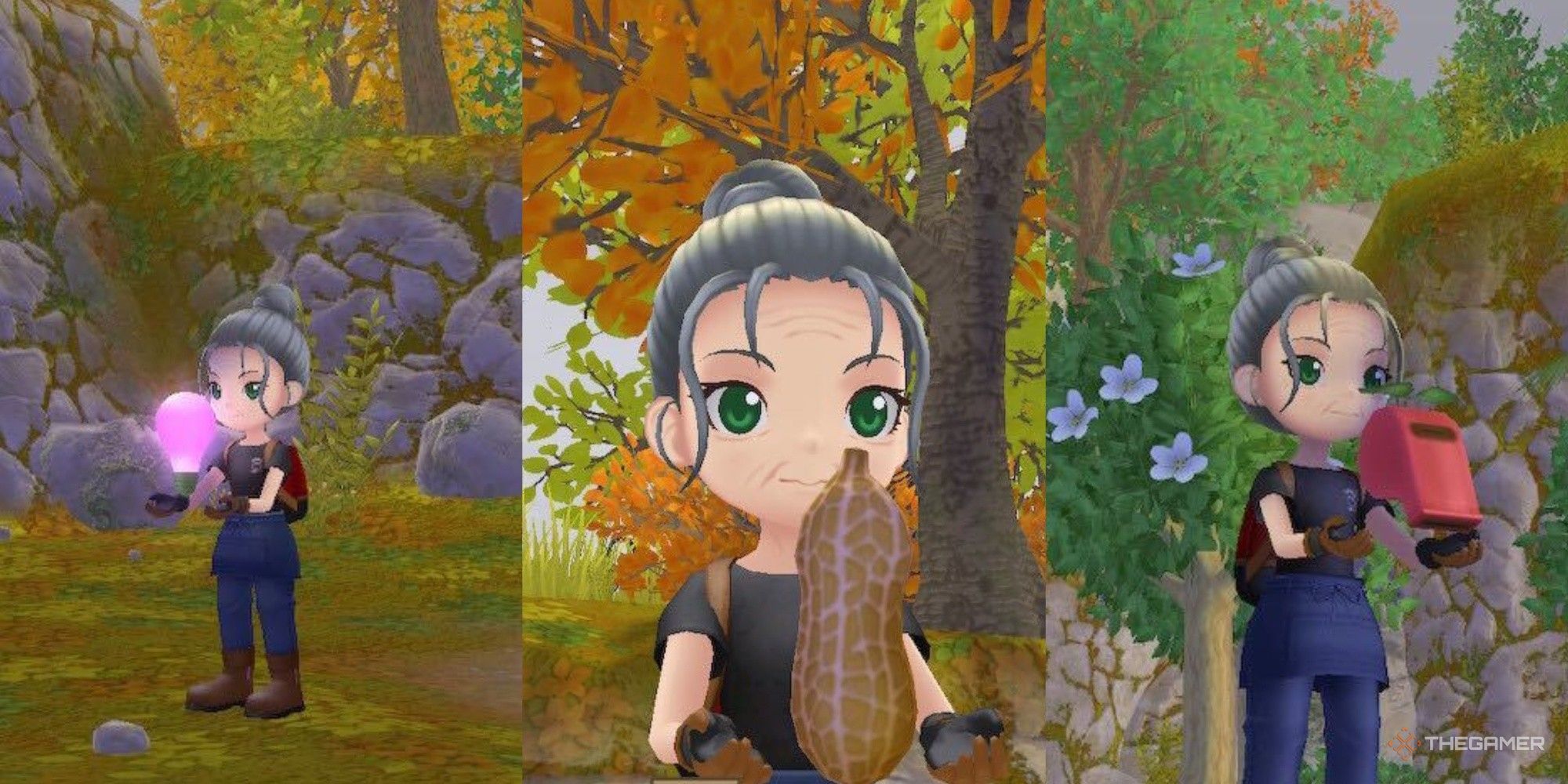Story Of Seasons: A Wonderful Life - The Best Rare Hybrid Crops