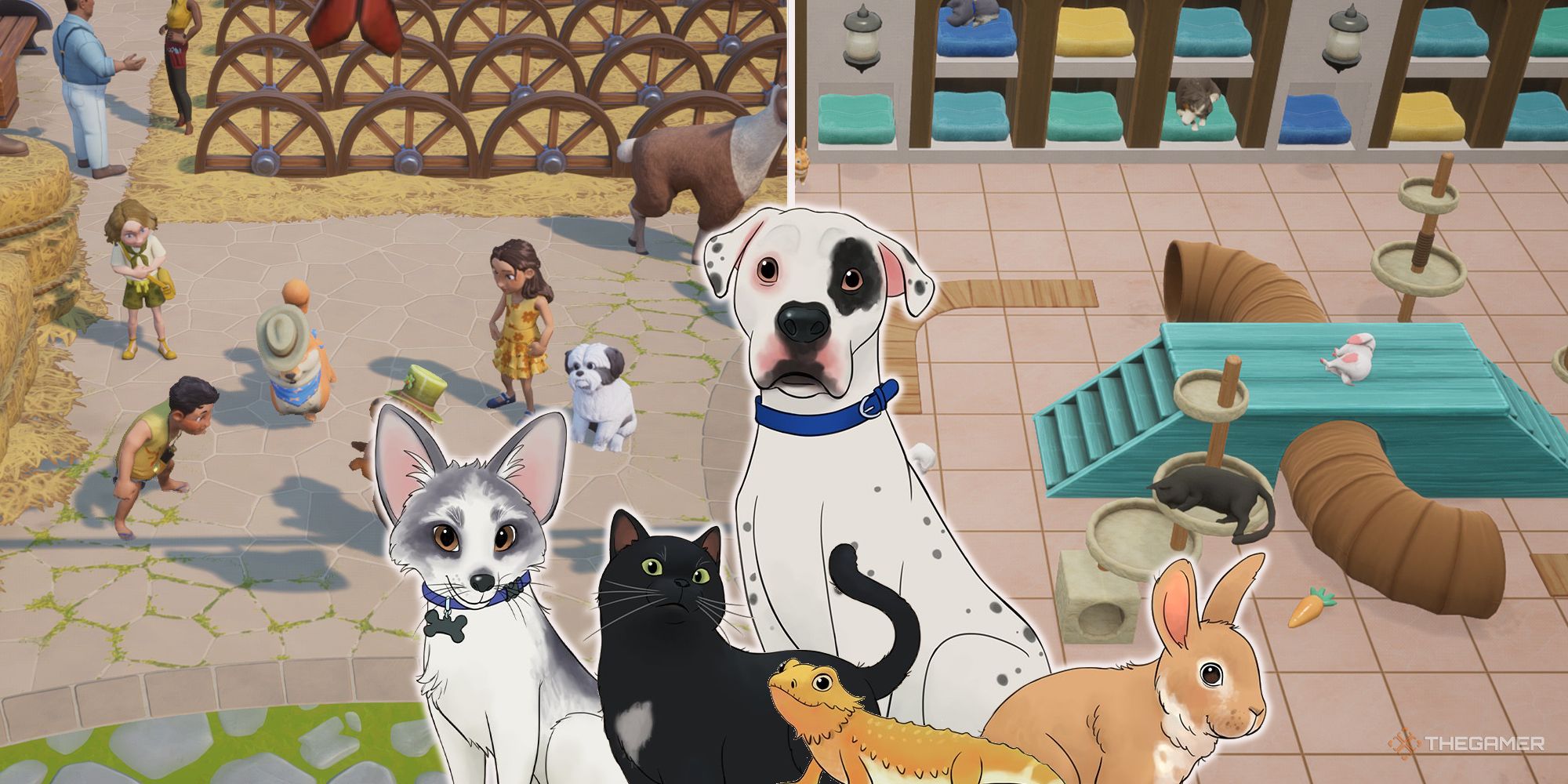 Coral Island: Complete Guide To Pets