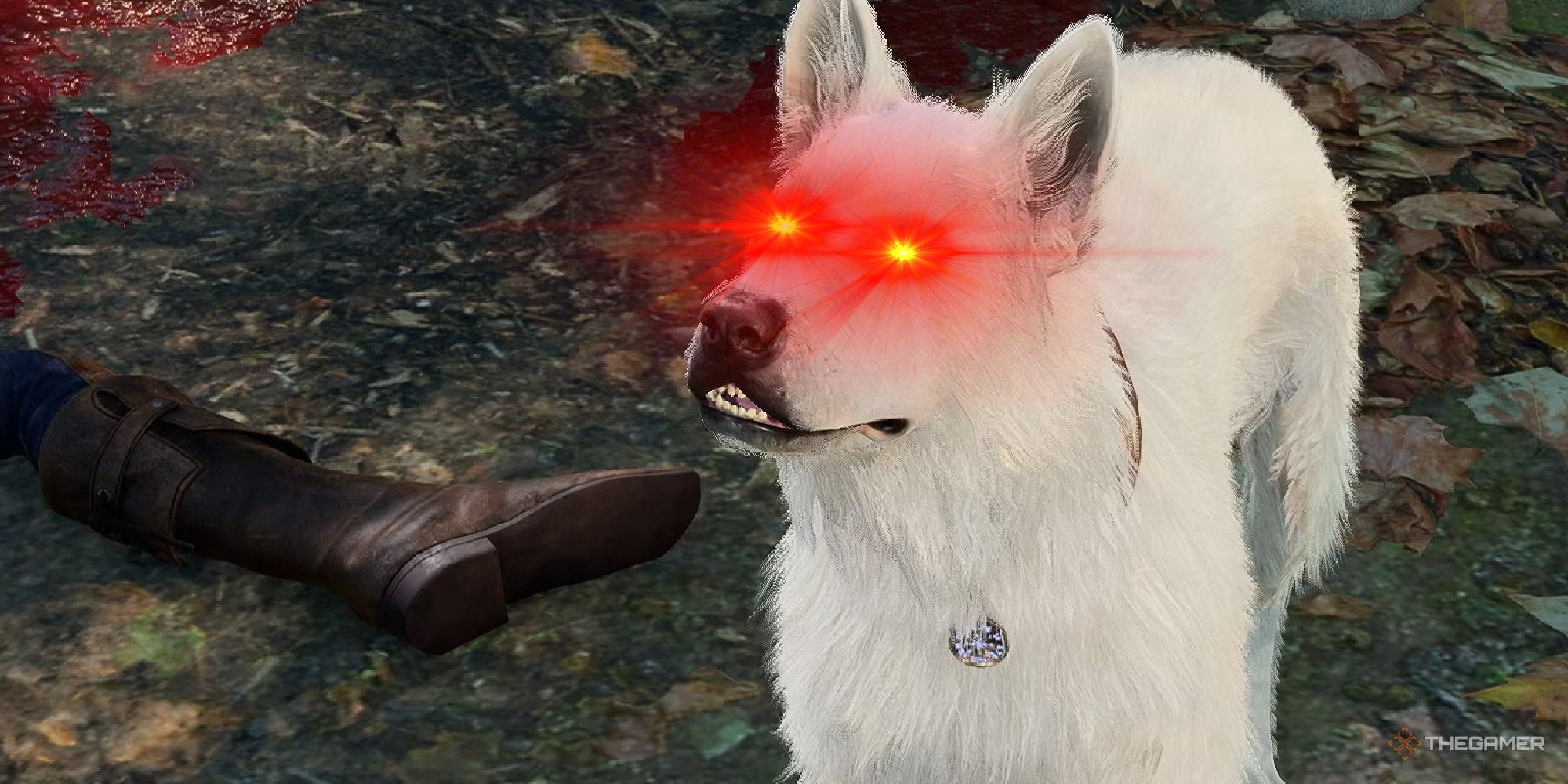 Baldur's Gate 3 Player Loses Honour Mode Run By Stealing Scratch's Ball