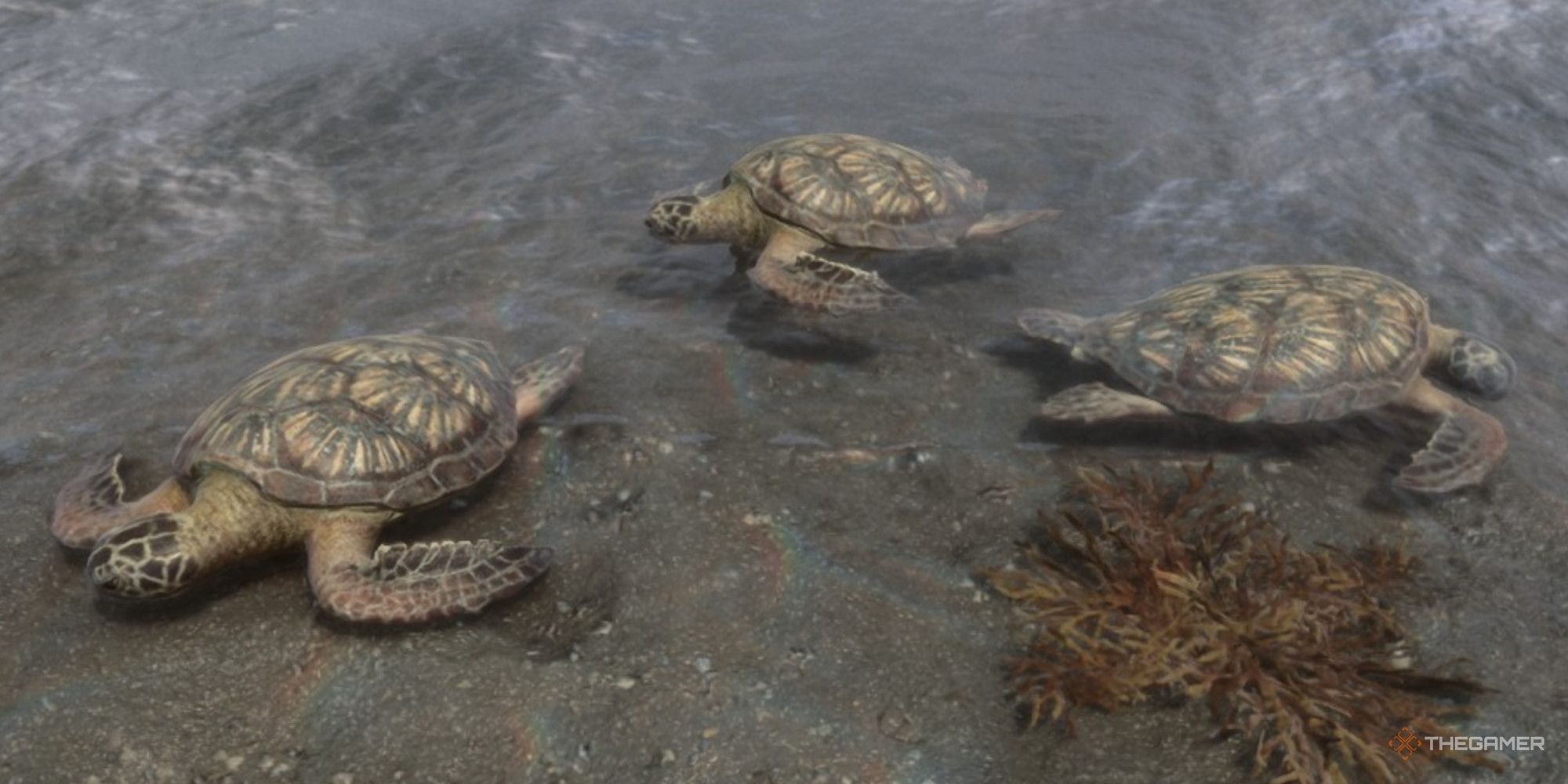 Sons Of The Forest: Where To Get Turtle Shells