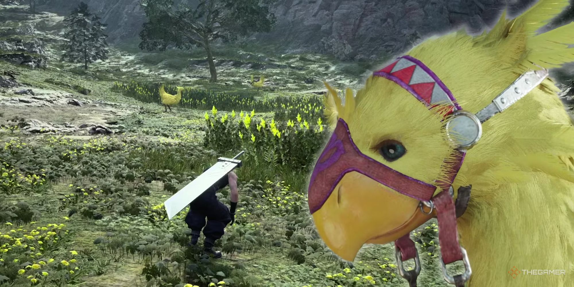 How Many Chocobos Can You Pet In Final Fantasy 7 Rebirth?