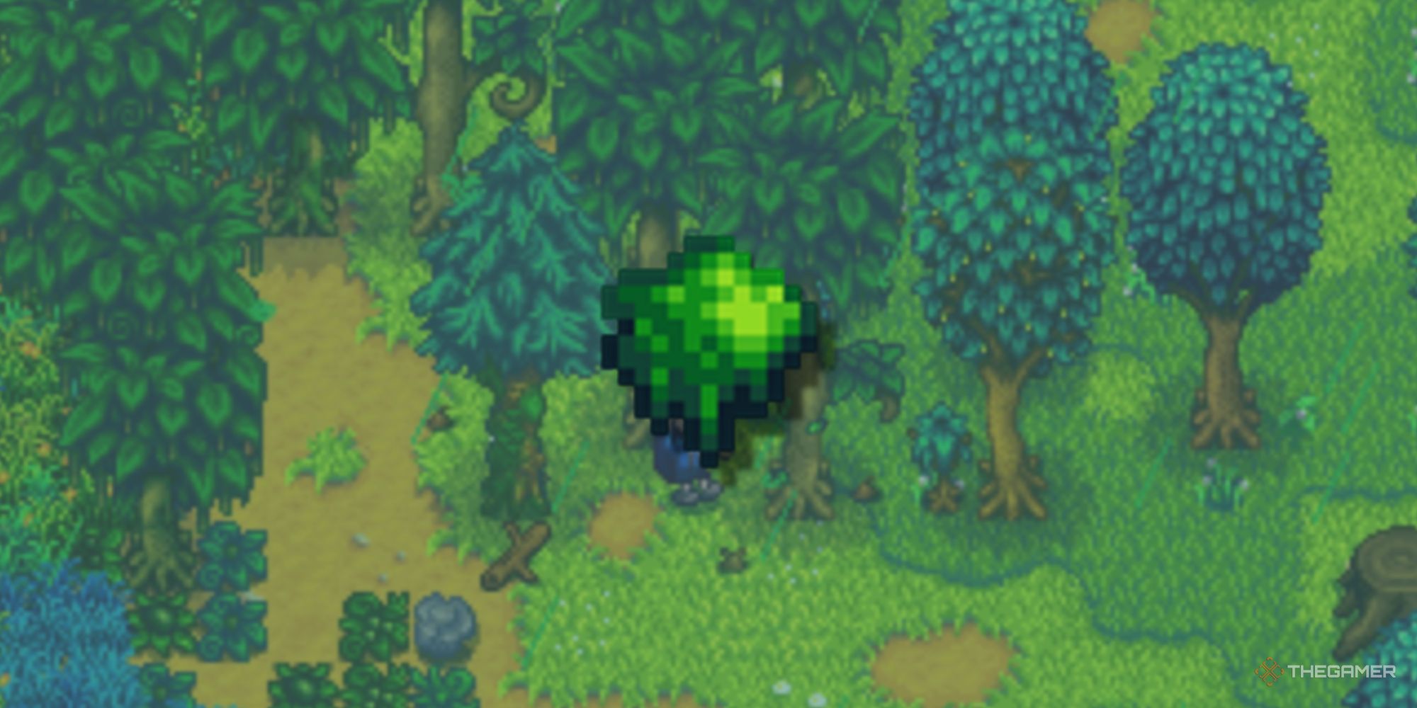 Stardew Valley: How To Get And Use Moss