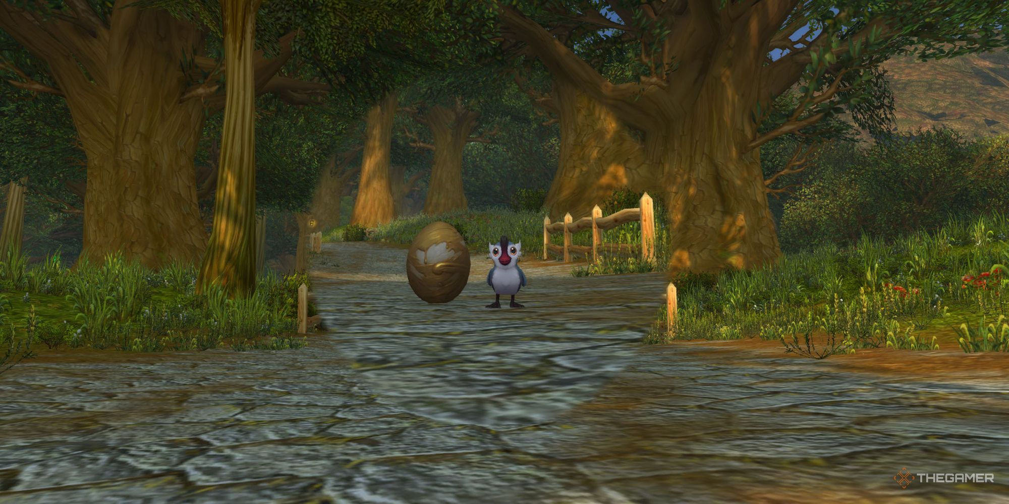 World Of Warcraft: Dragonflight - How To Get The Duck Disguiser Toy