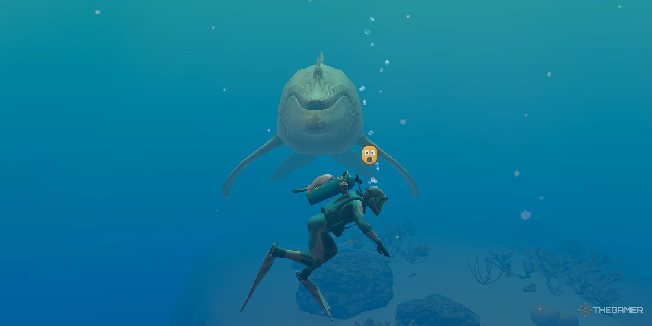 Endless Ocean Luminous: Drawing Tags, Explained