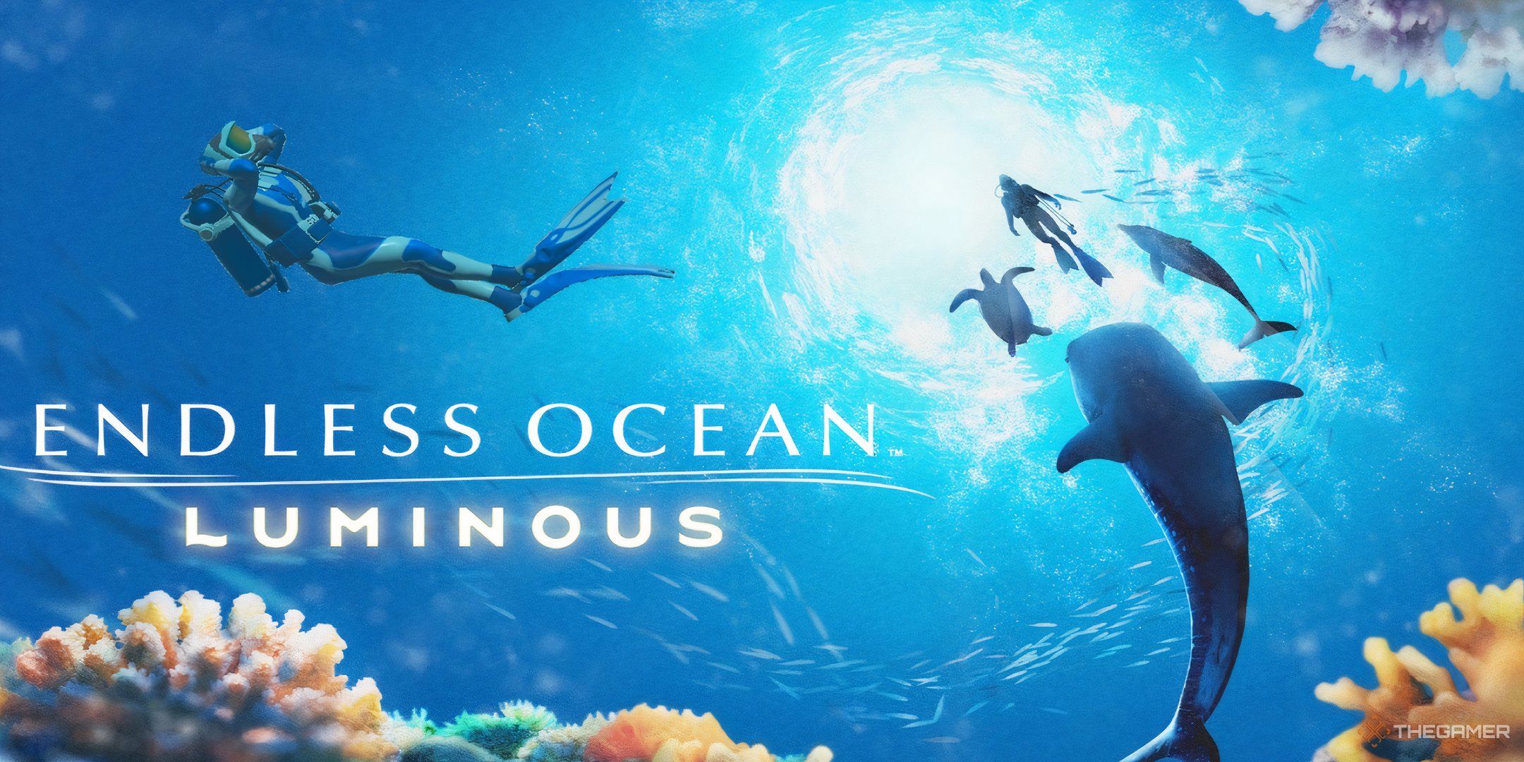 Endless Ocean Luminous: 8 Beginner Tips