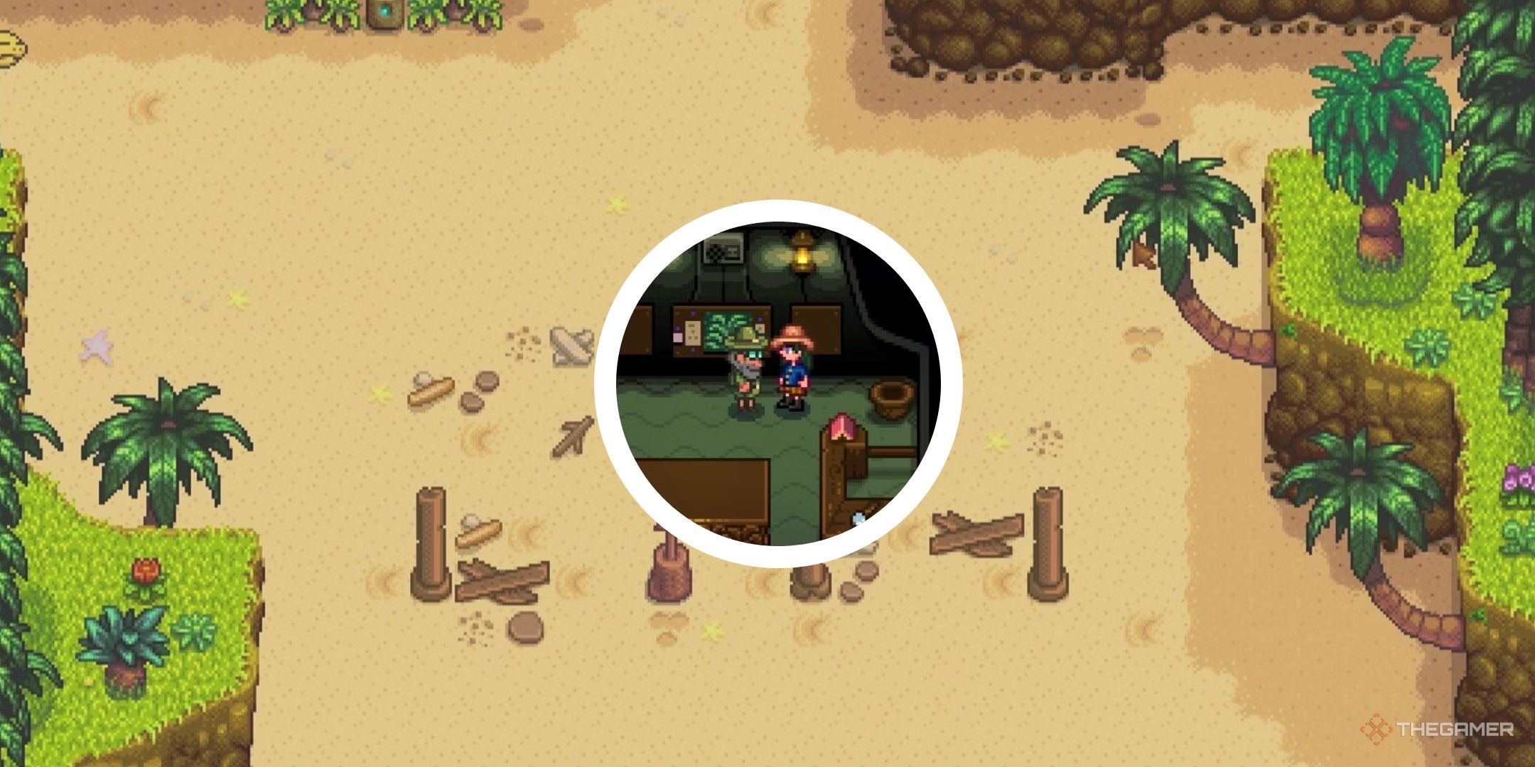 Professor Snail's Survey Guide In Stardew Valley