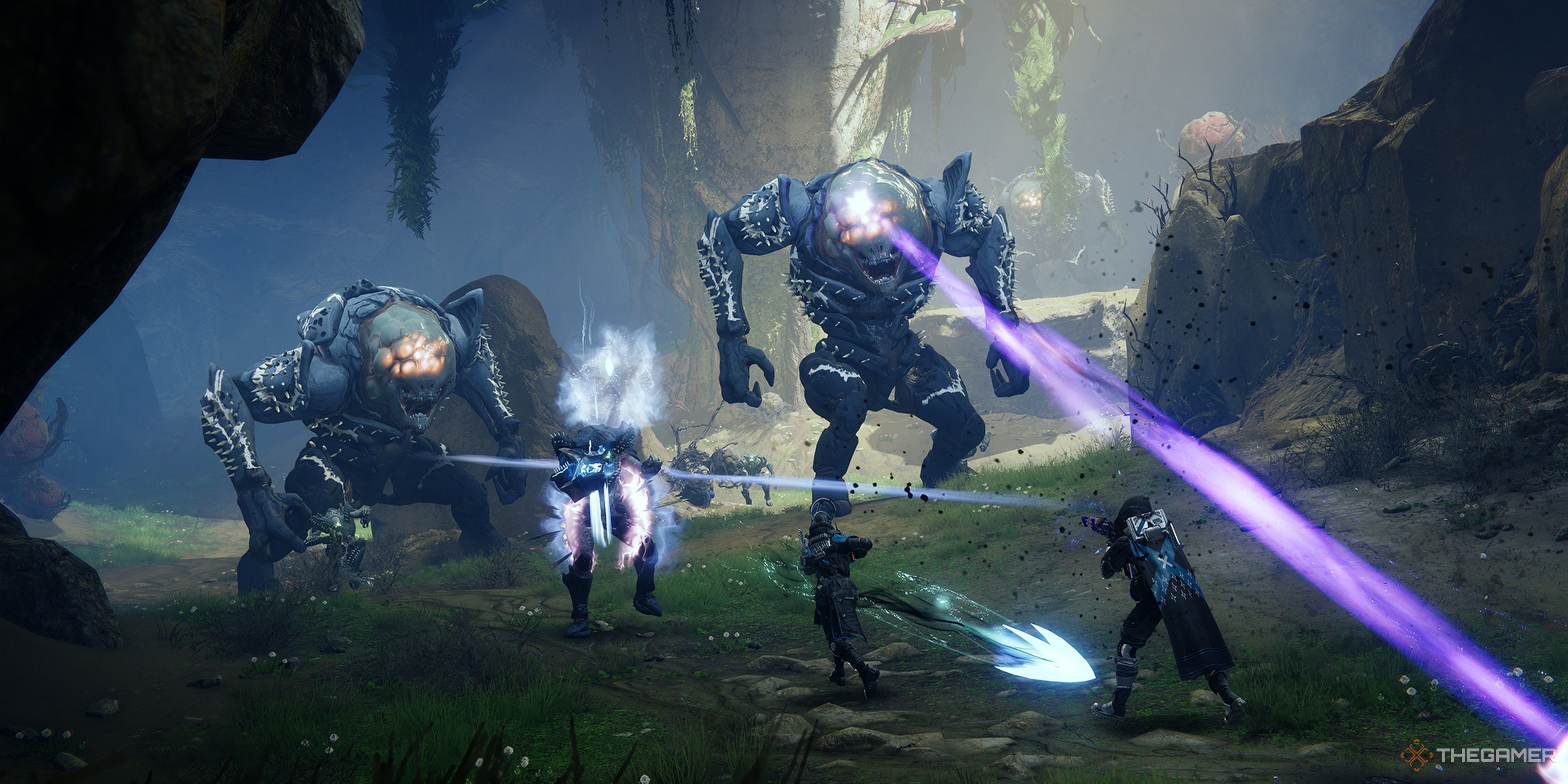 Destiny 2: The Final Shape - Best Rolls For The New Playlist Weapons