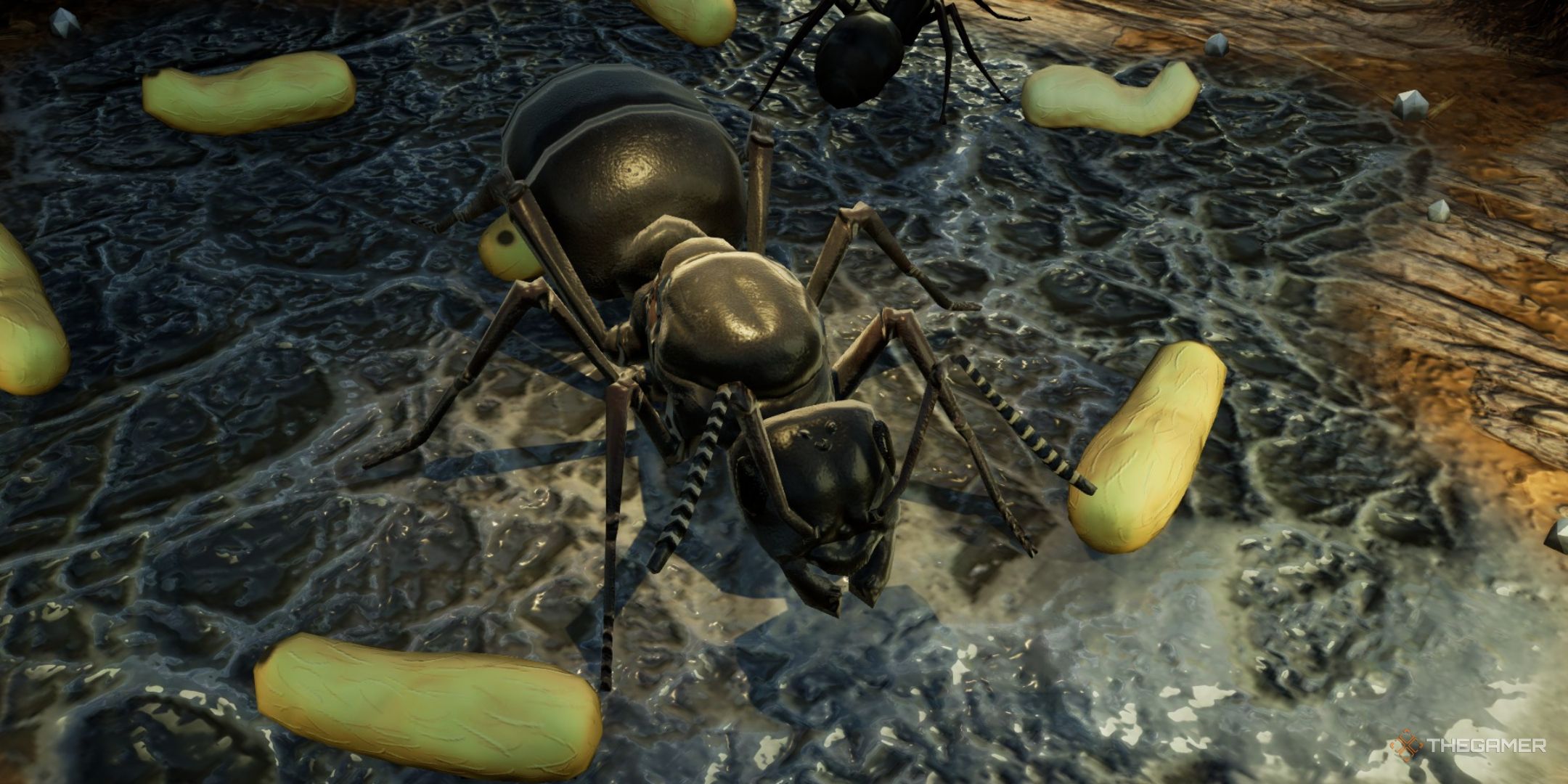 Tips For Beginners In Empires Of The Undergrowth