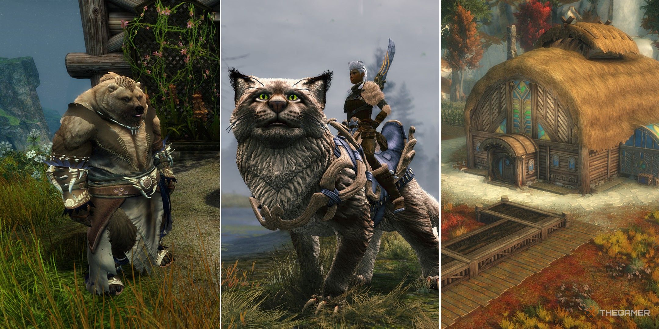 Guild Wars 2: Janthir Wilds - All Features Announced For The Next Expansion