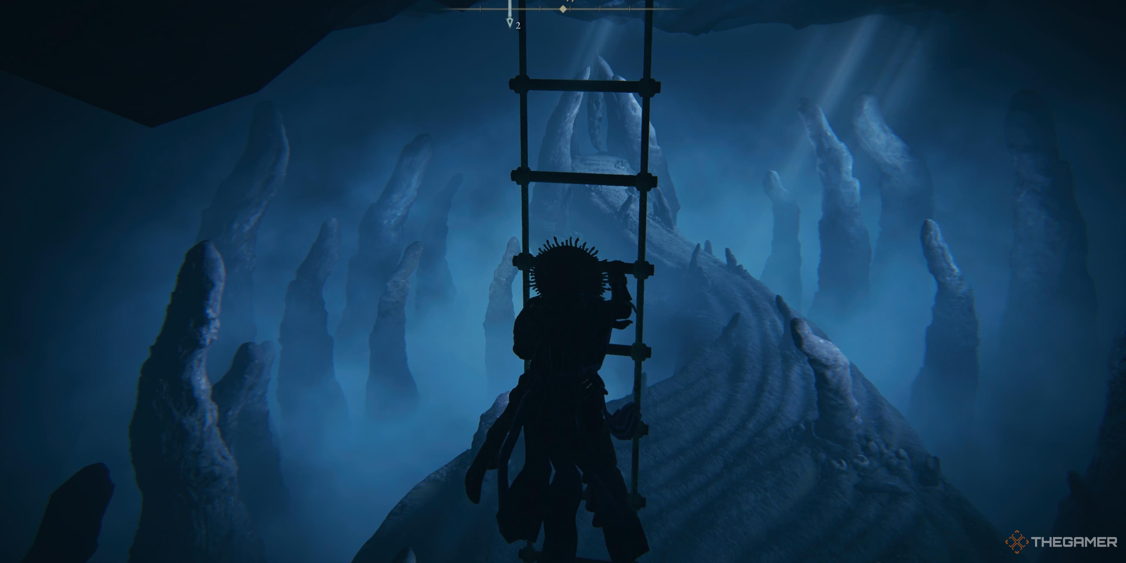 Elden Ring Fans Discuss Their Most Disliked Shadow Of The Erdtree Area