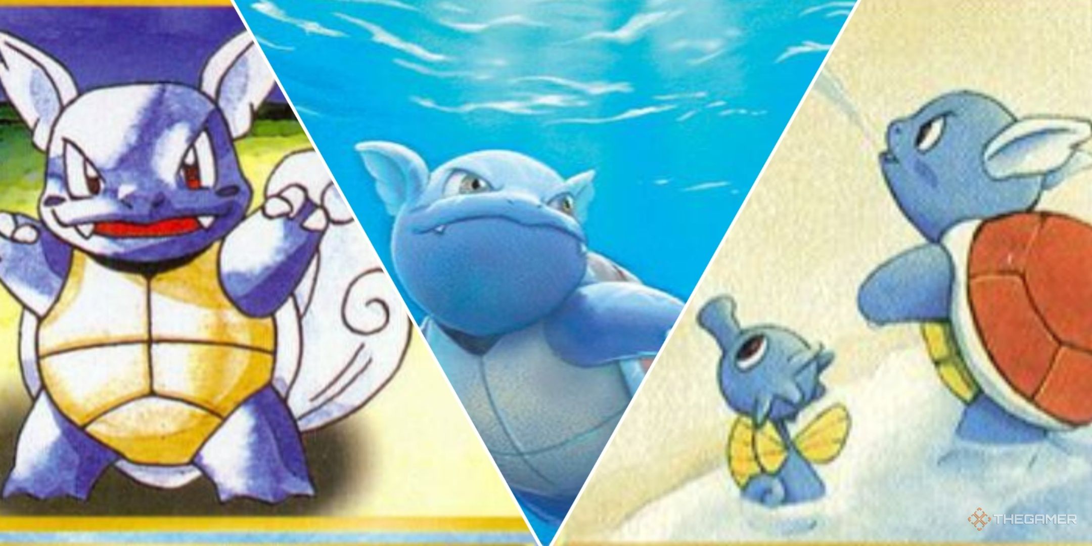 Pokemon TCG: The 8 Most Valuable Wartortle Cards