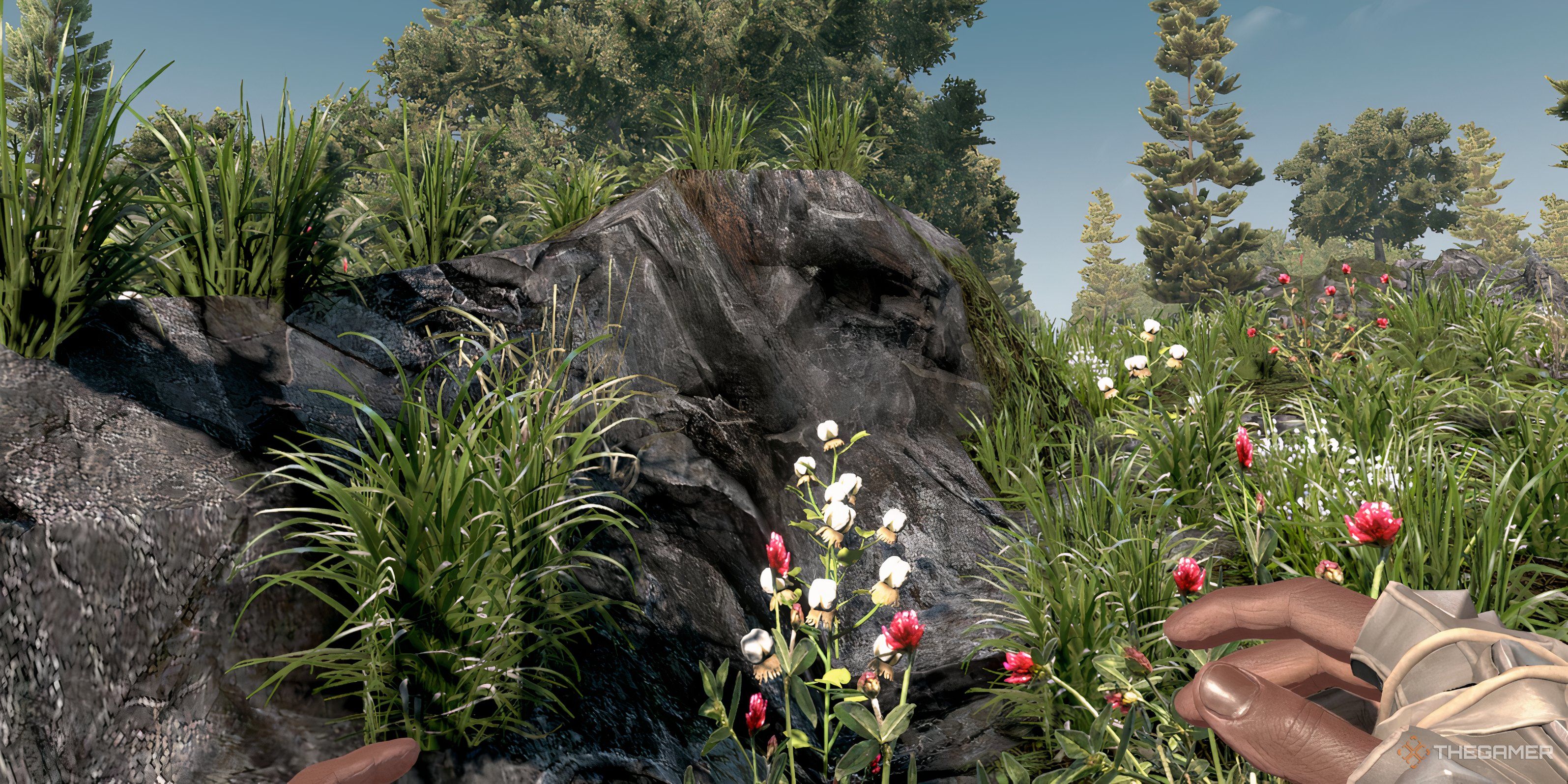 7 Days To Die: How To Get Clay