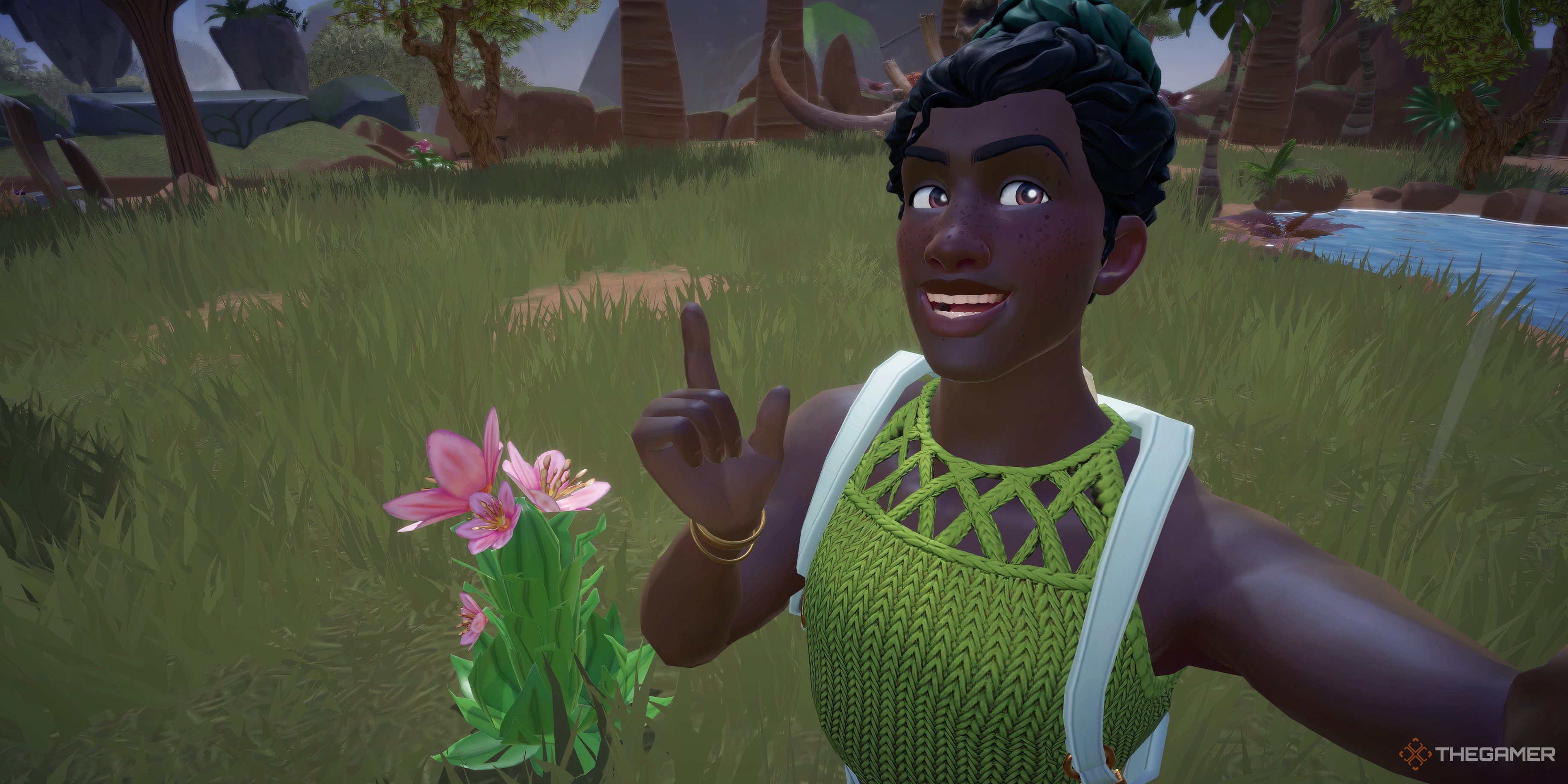 Disney Dreamlight Valley: How To Find Pink Houseleek