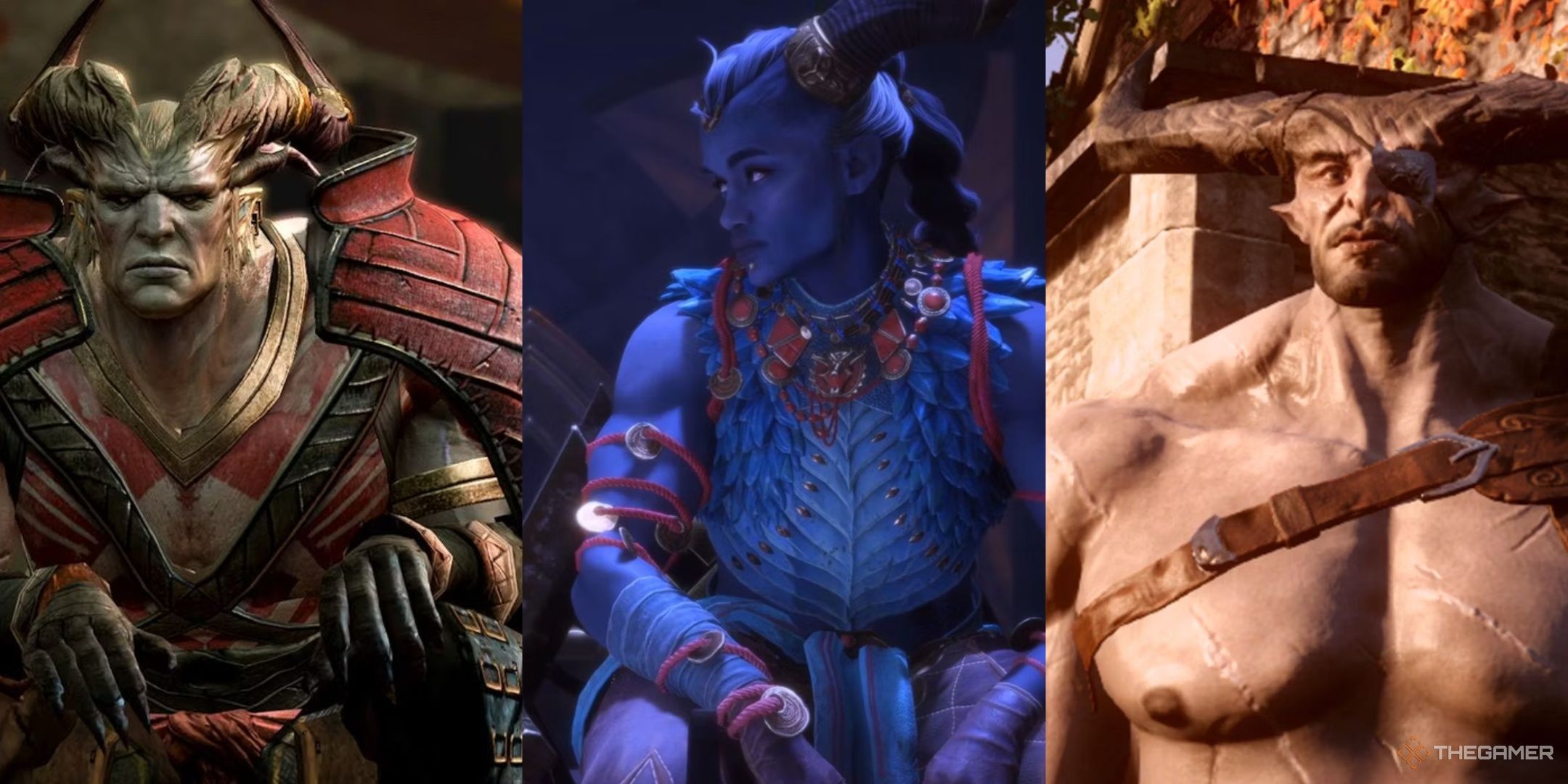Dragon Age: What Are The Qunari?