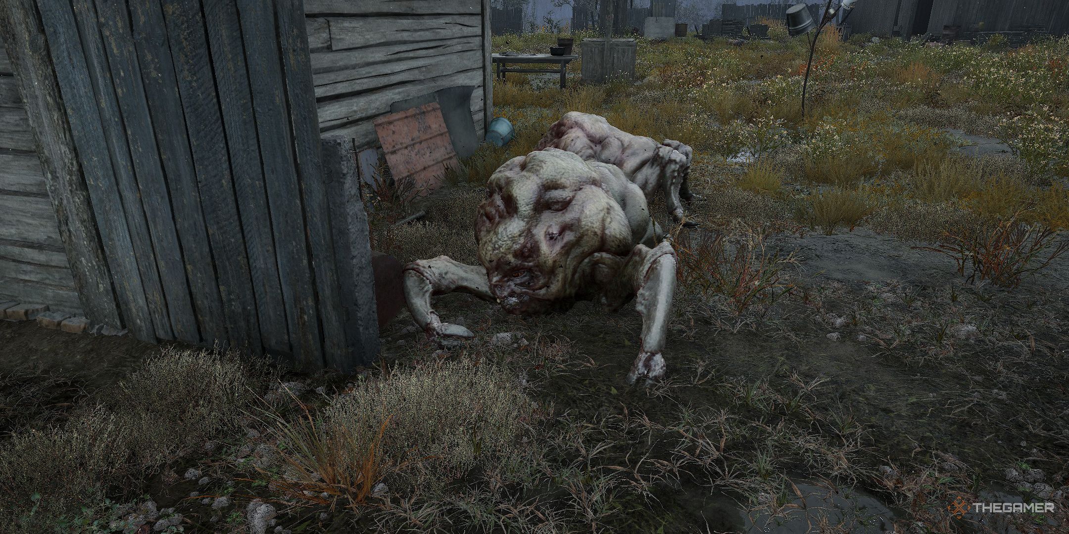 Stalker 2: Heart Of Chornobyl - Every Mutant And How To Beat Them