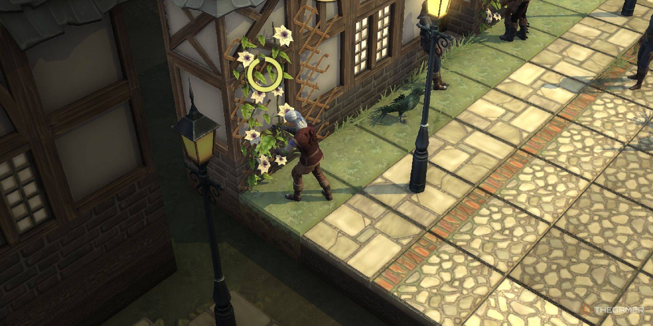 Brighter Shores: Complete Guide To Foraging