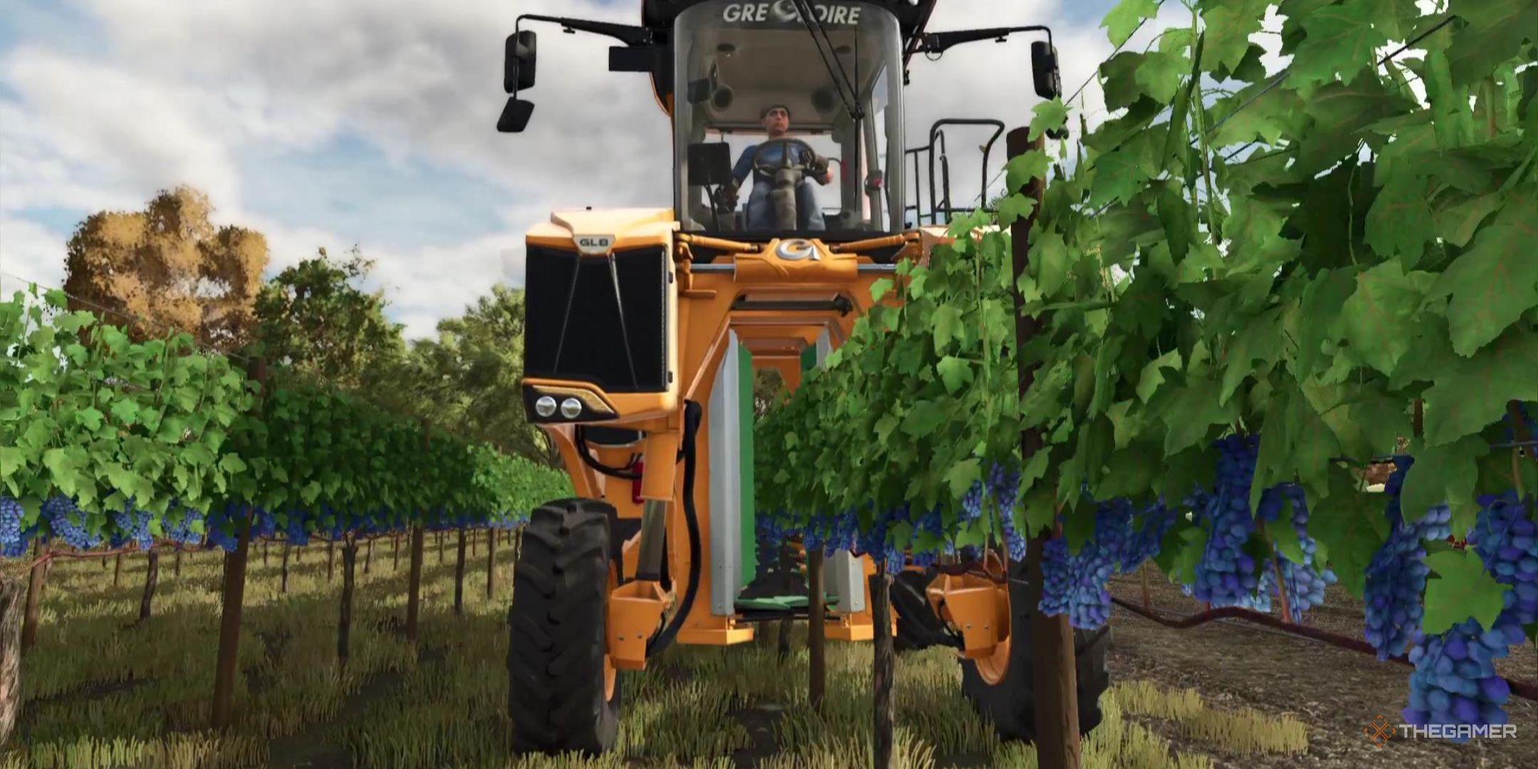Farming Simulator 25: How To Grow Grapes