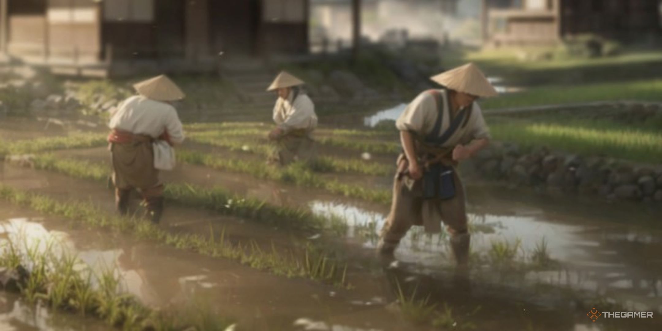 Sengoku Dynasty: How To Grow Crops