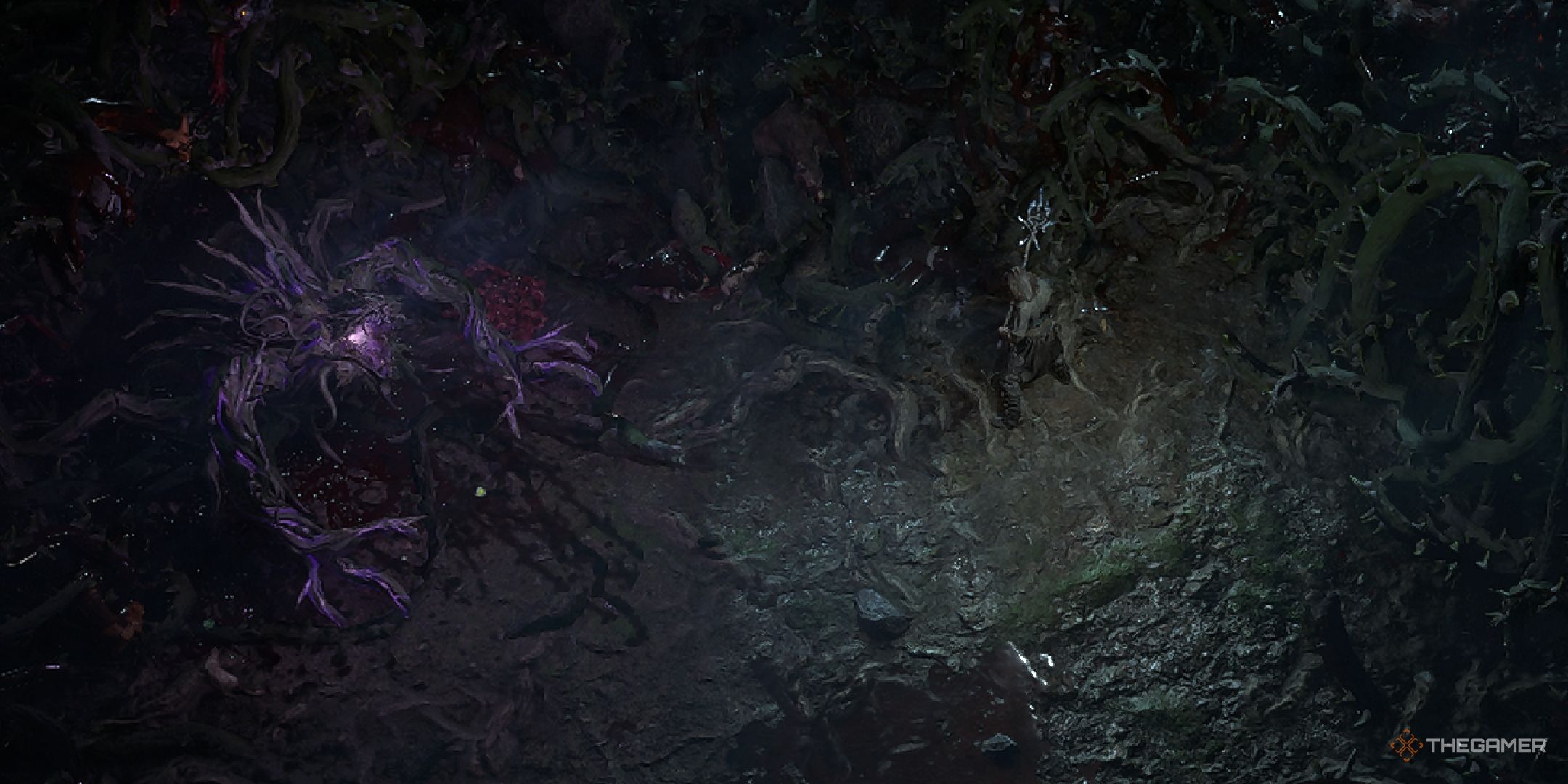 Path Of Exile 2: Where To Find Every Optional Boss In Act One