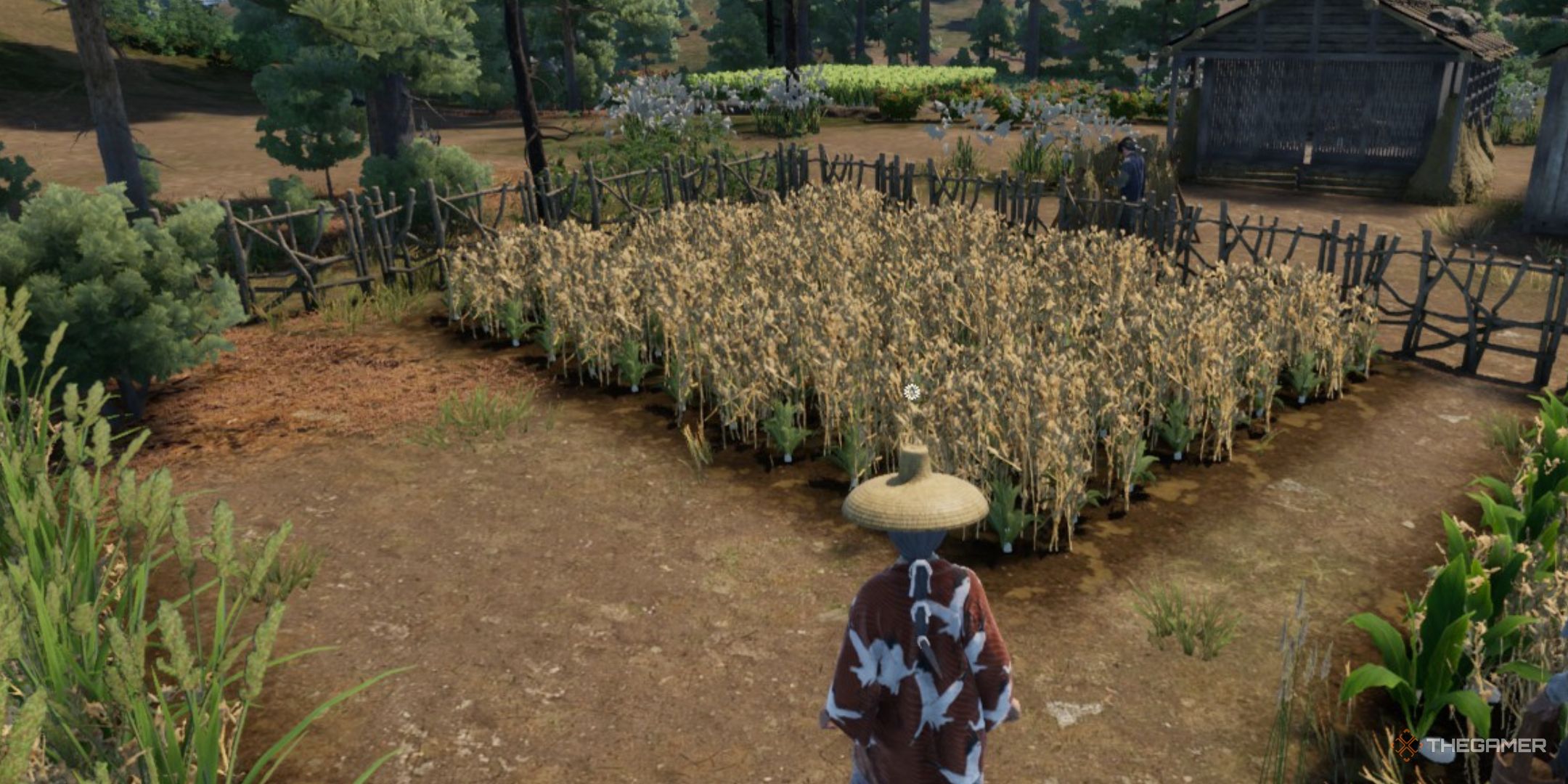 7 Best Crops To Grow In Sengoku Dynasty