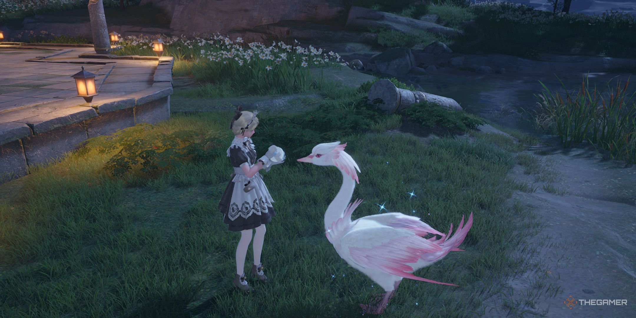 Infinity Nikki: How To Catch And Groom Swans