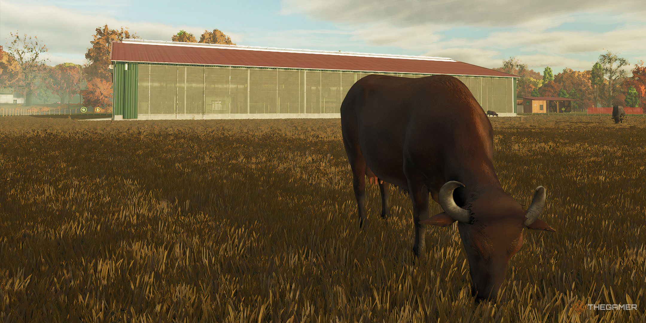 Farming Simulator 25: Complete Guide To Water Buffalo