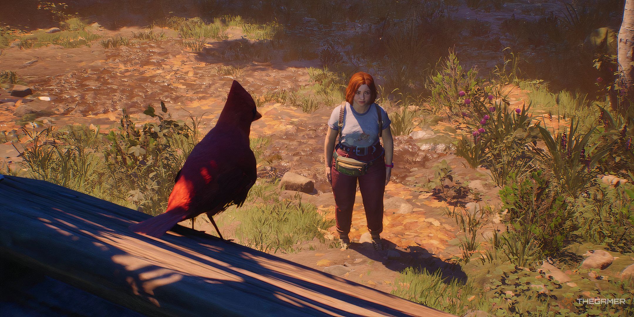 Lost Records: Bloom & Rage - Birds! Memoir Locations