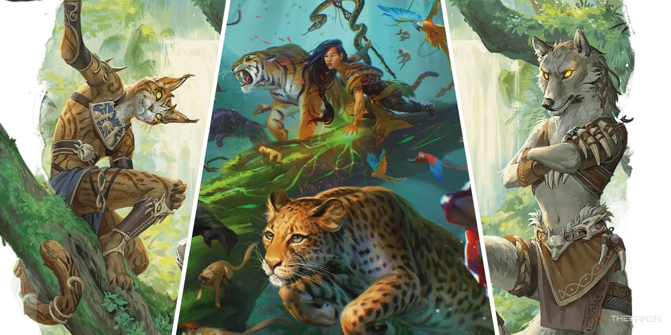Dungeons & Dragons: Animal Lords, Explained