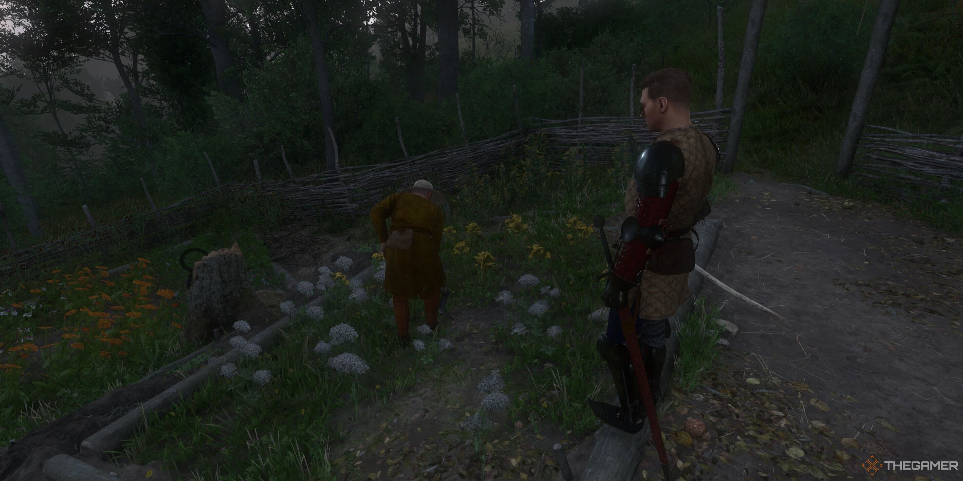 Kingdom Come: Deliverance 2 - How To Get Poison