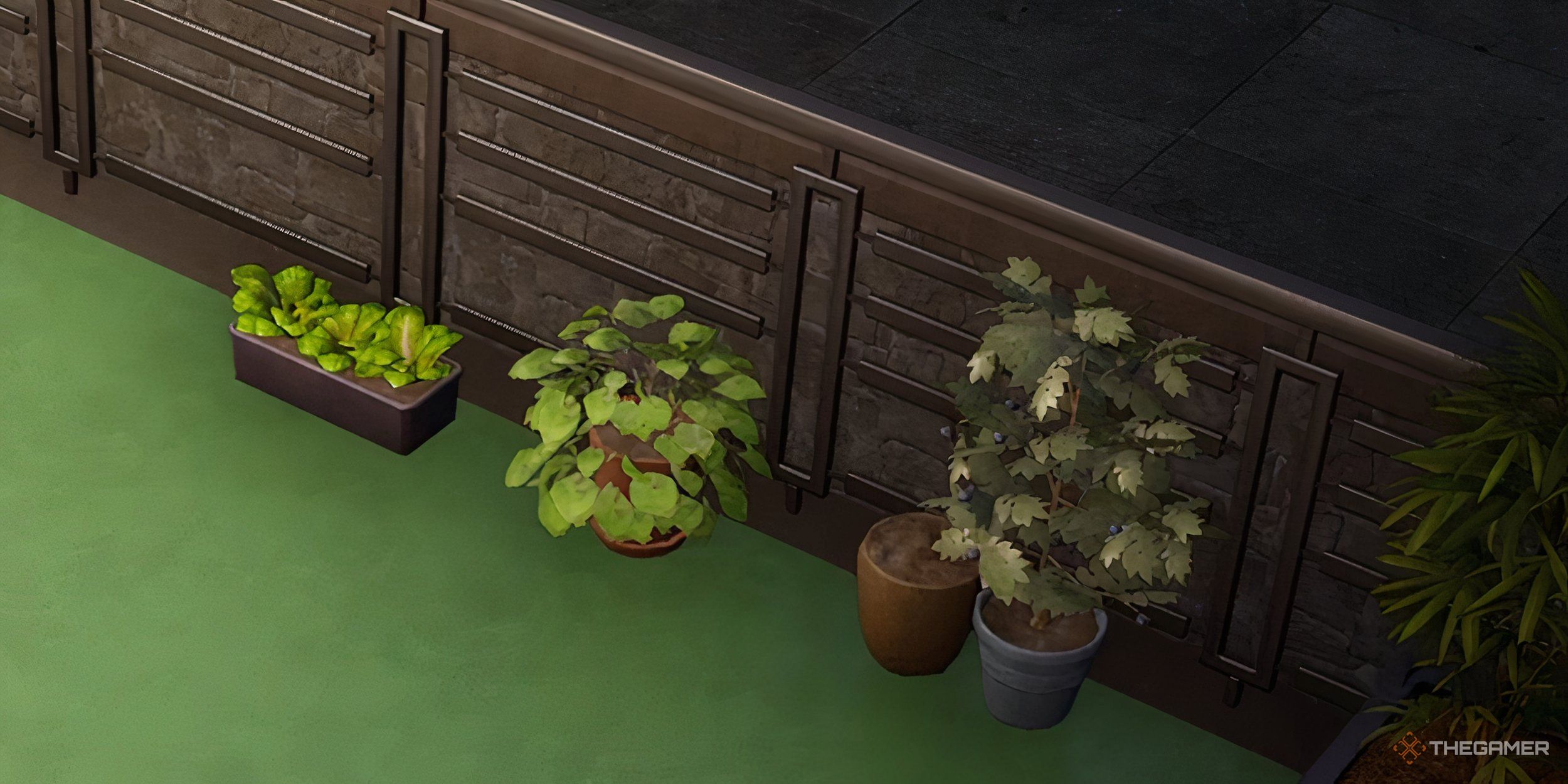 InZoi: Complete Guide To Growing Plants