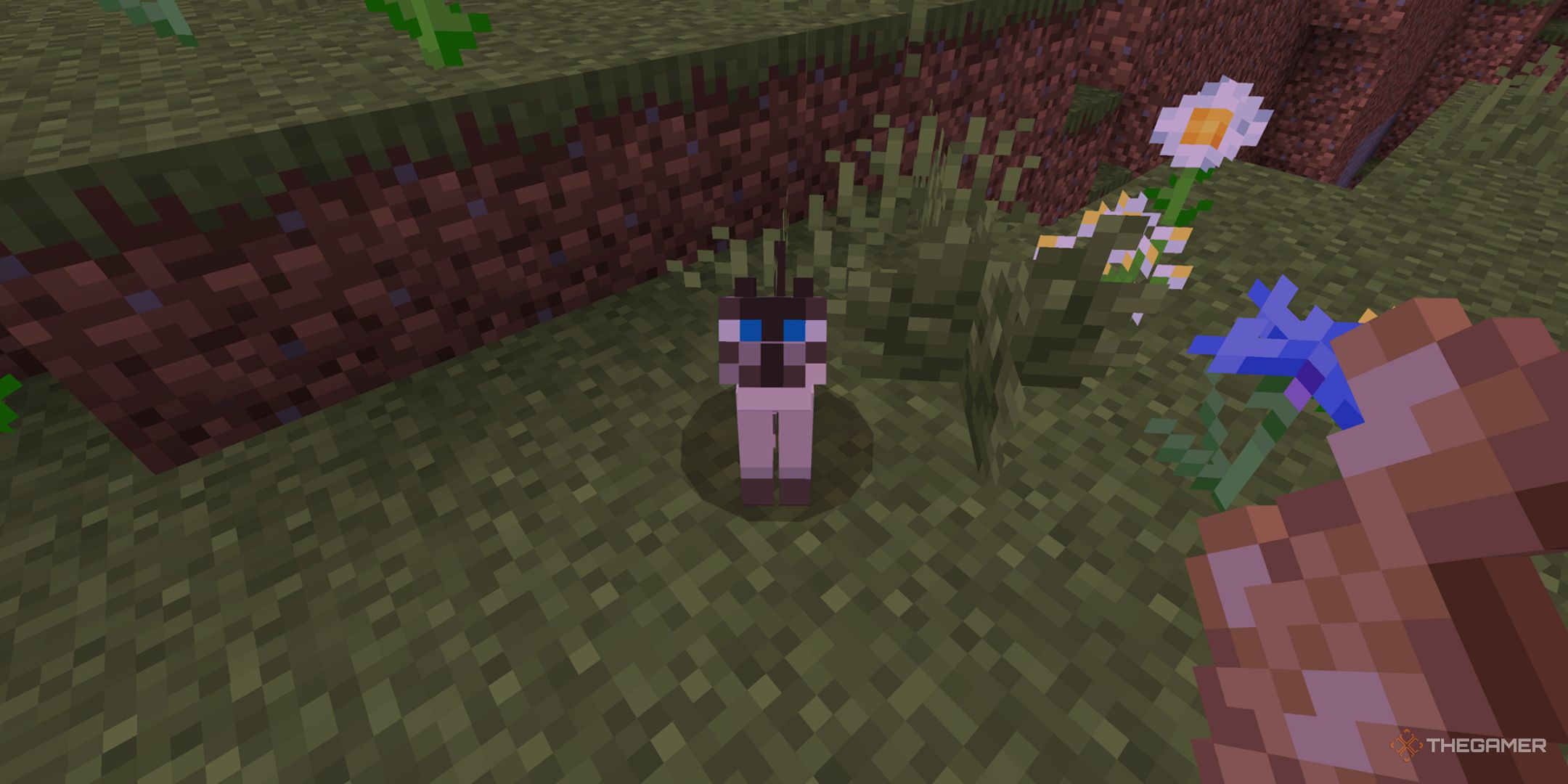 Minecraft: How To Tame A Cat