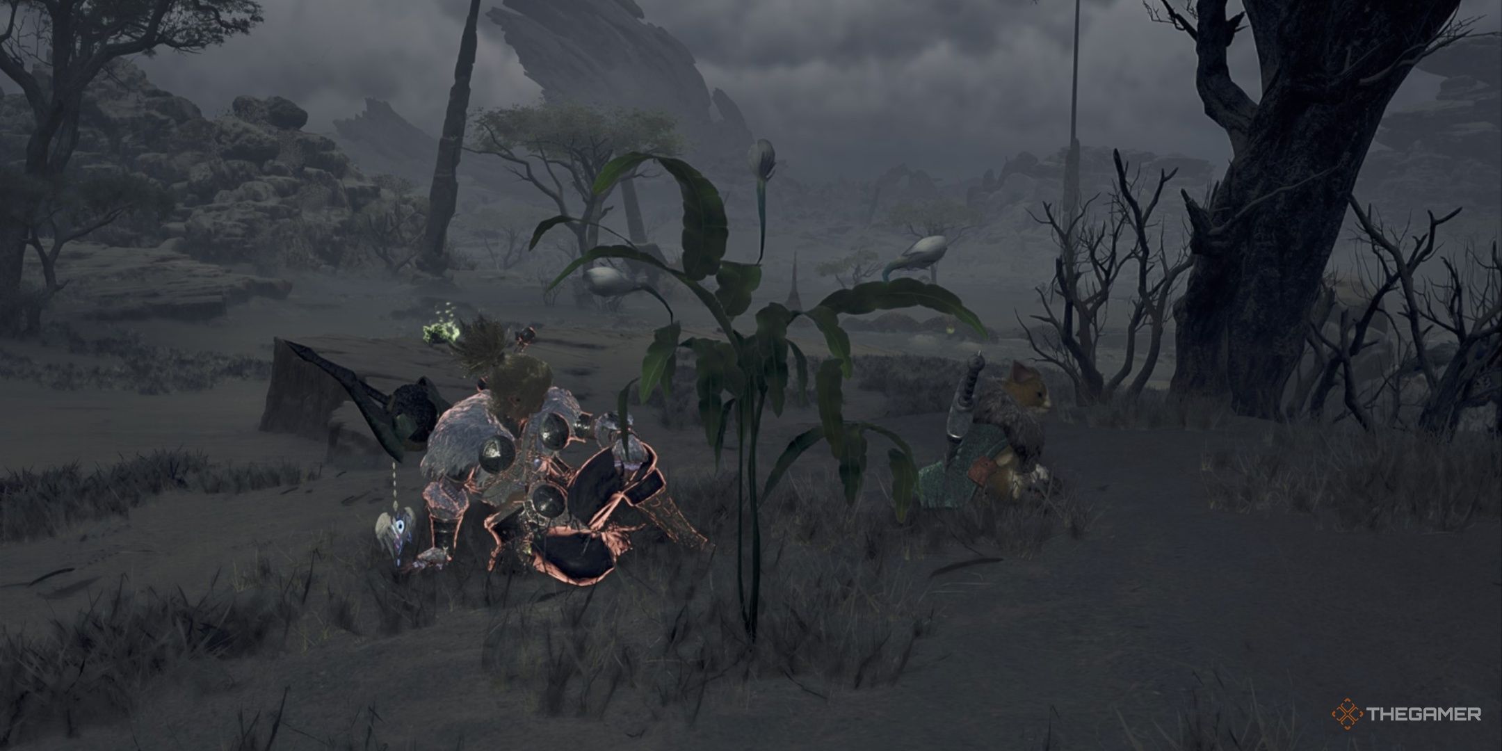 Monster Hunter Wilds: How To Get Nightflower Pollen