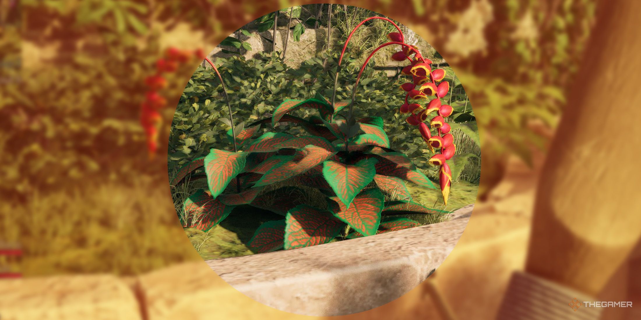 Avowed: All Paradisan Ladder Locations
