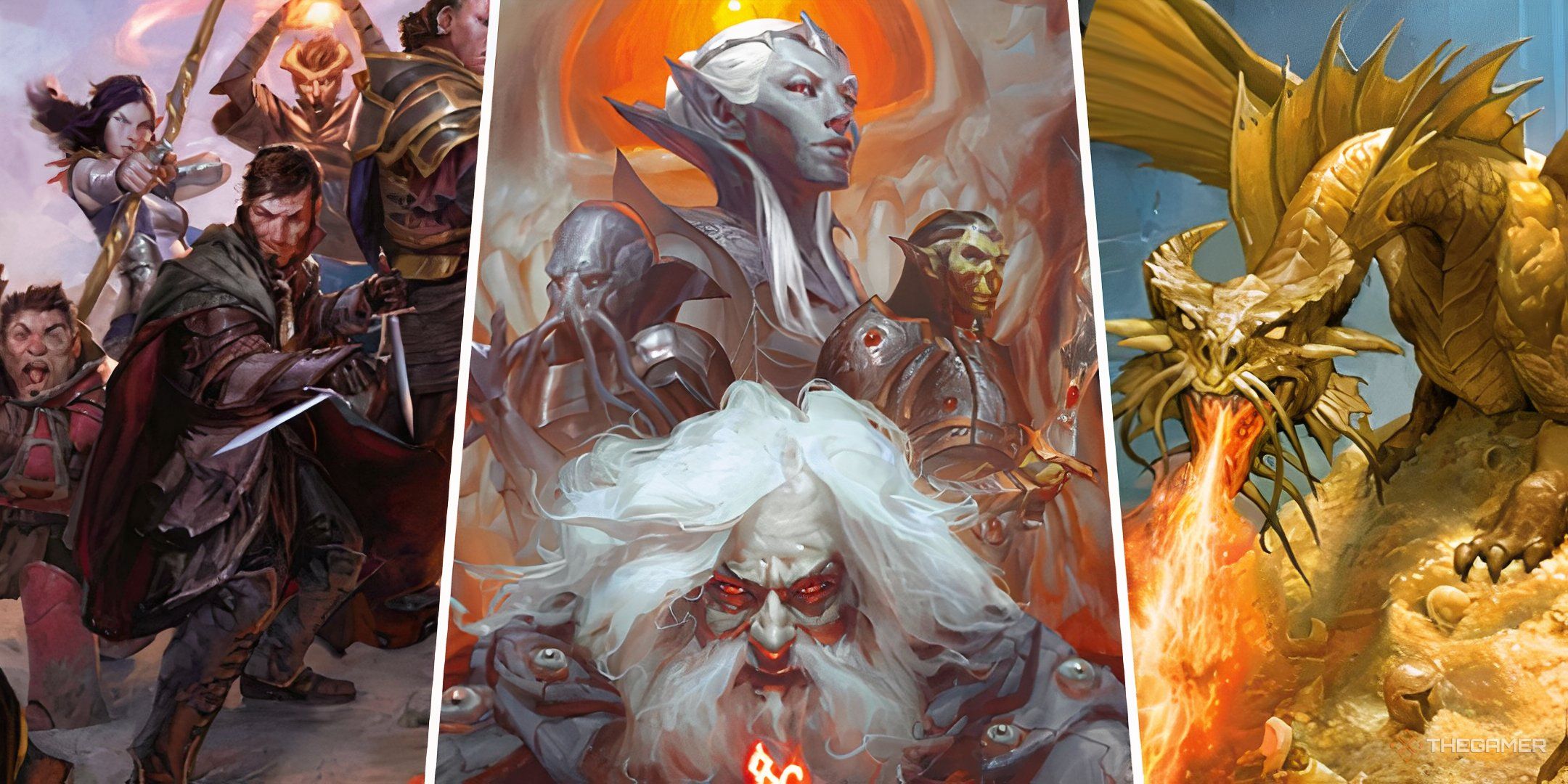 Dungeons & Dragons: 10 Best Supplements For Expert Players