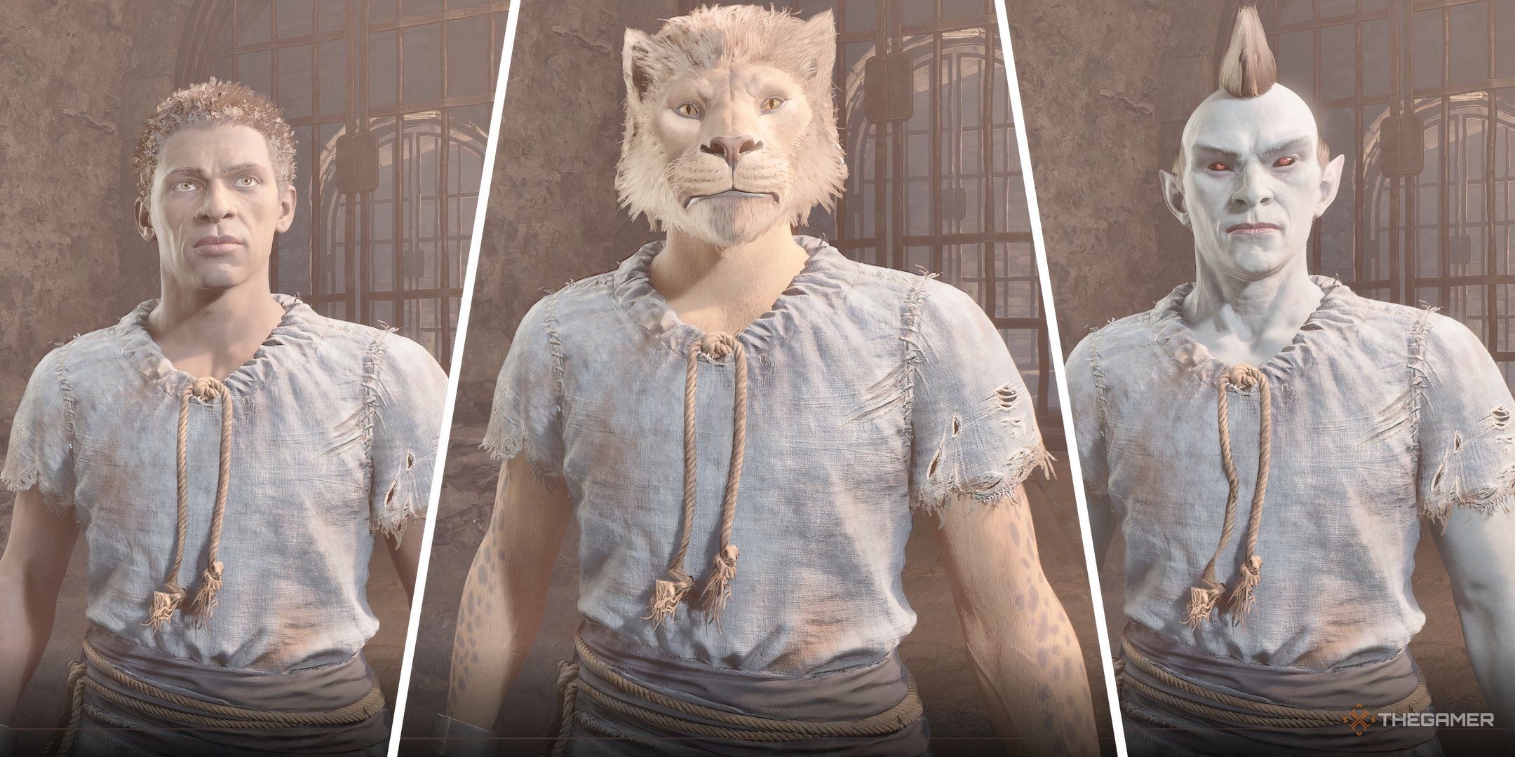 Oblivion Remastered: Every Race, Ranked