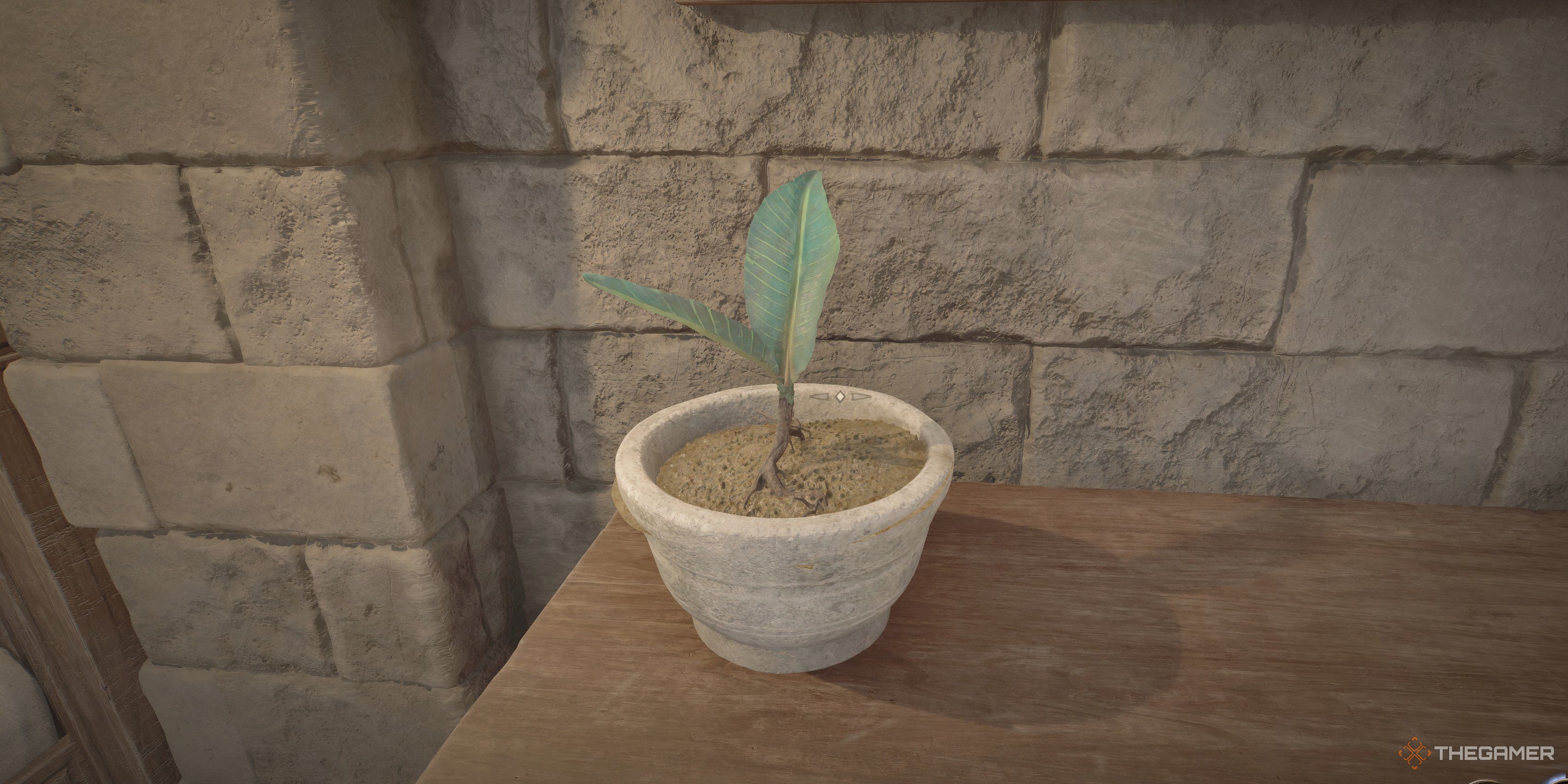 Oblivion Remastered: Where To Get Nirnroot