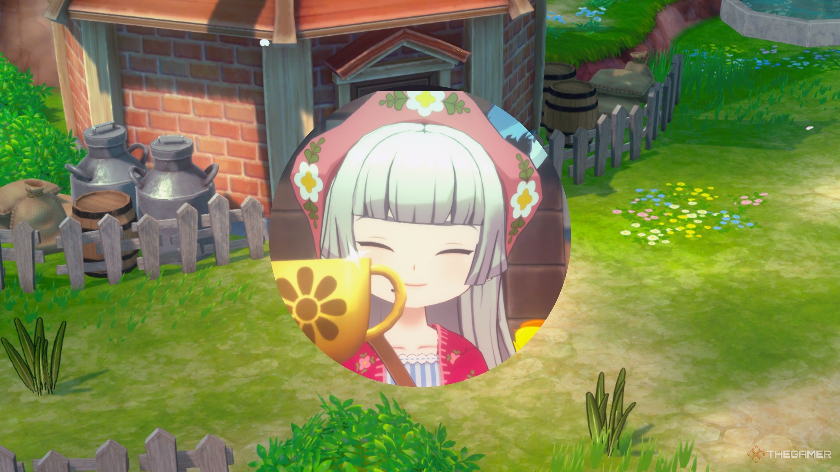 The Biggest Differences Between Story Of Seasons: Grand Bazaar And The Original Game