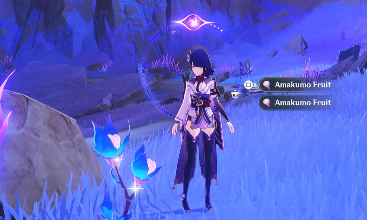 Genshin Impact - Amakumo Fruit locations and best farming route