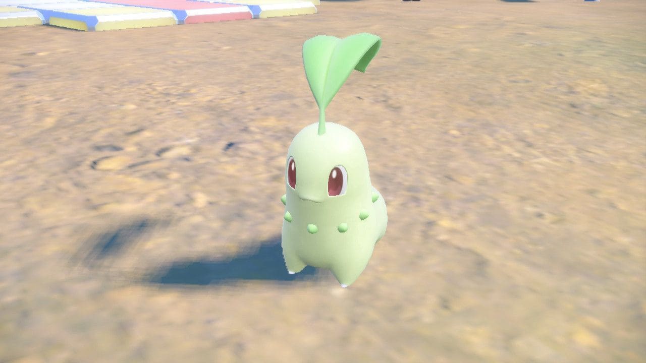 Pokemon Indigo Disk Chikorita Location - How to catch and evolve Chikorita
