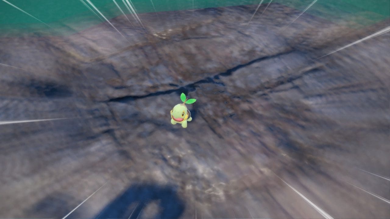 Pokemon Indigo Disk Turtwig - How to catch and evolve Turtwig