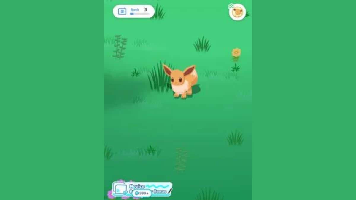 Pokemon Sleep Eevee Evolutions - How to get Umbreon, Espeon, Jolteon, and more