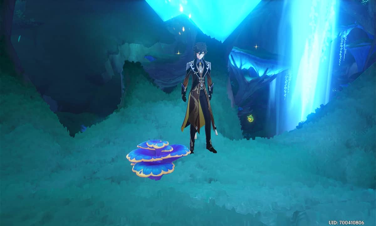 Genshin Impact - Rukkhashava Mushroom locations and the best farming routes